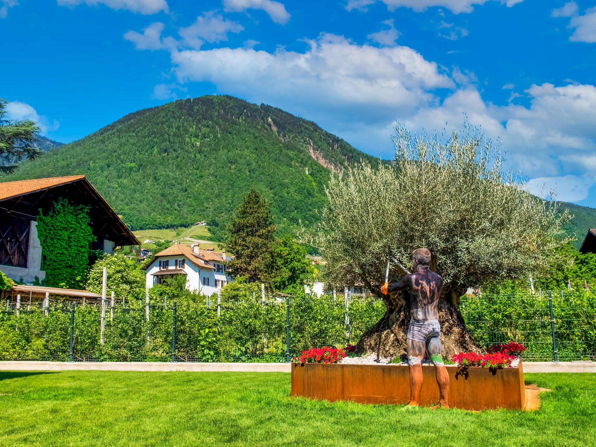 Rasenfix » Alles für Garten, Dach, Rasen Rasenfix » Alles für Garten, Dach, Rasen
