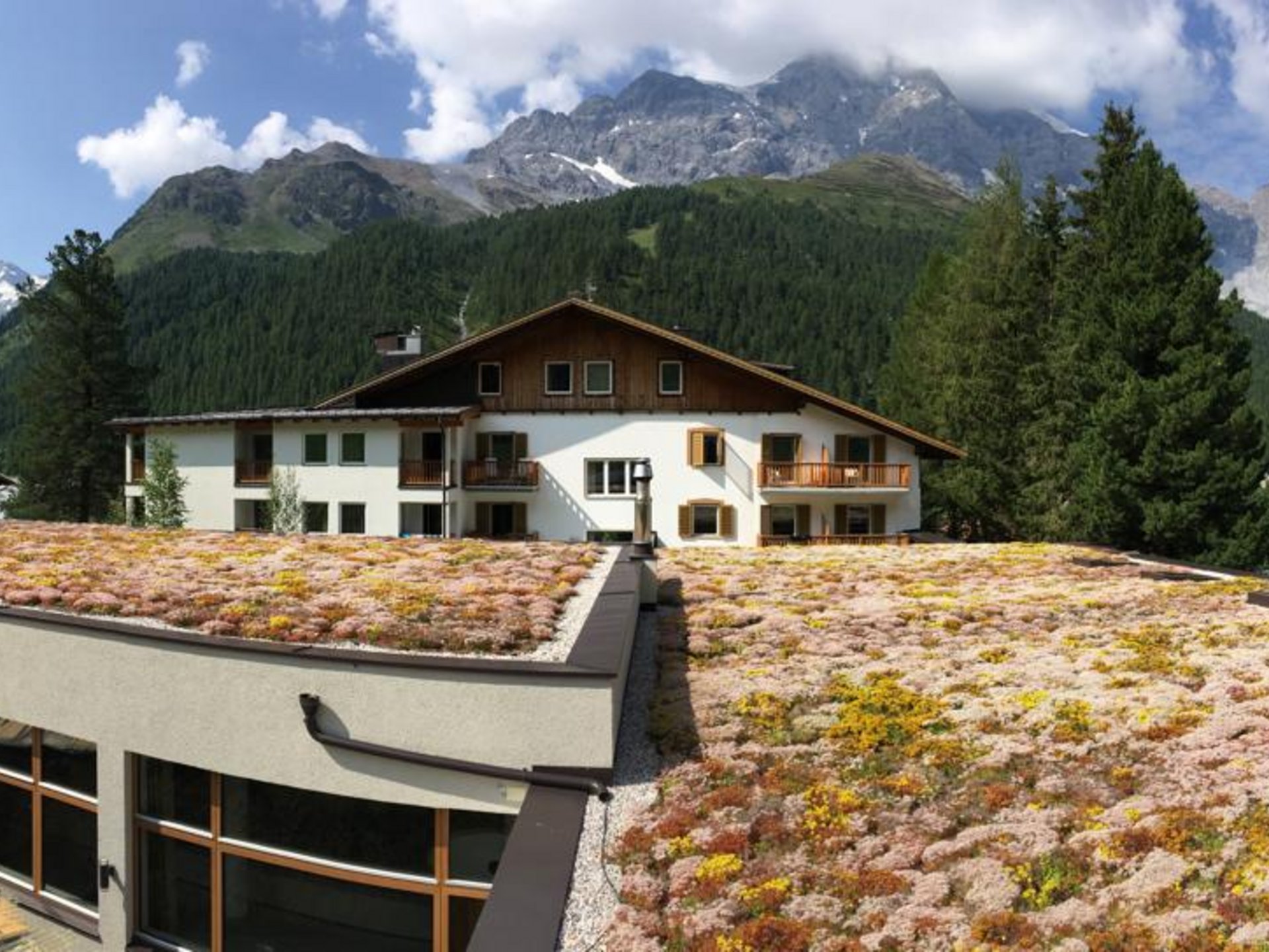 Tetto verde - progettazione e servizio a 360° Tetto verde - progettazione e servizio a 360°