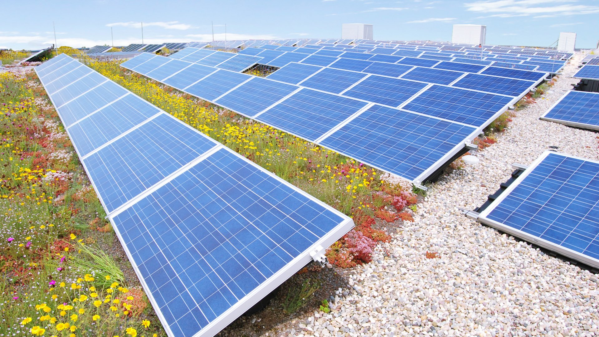Solargründach von Rasenfix: höchste Effizienz