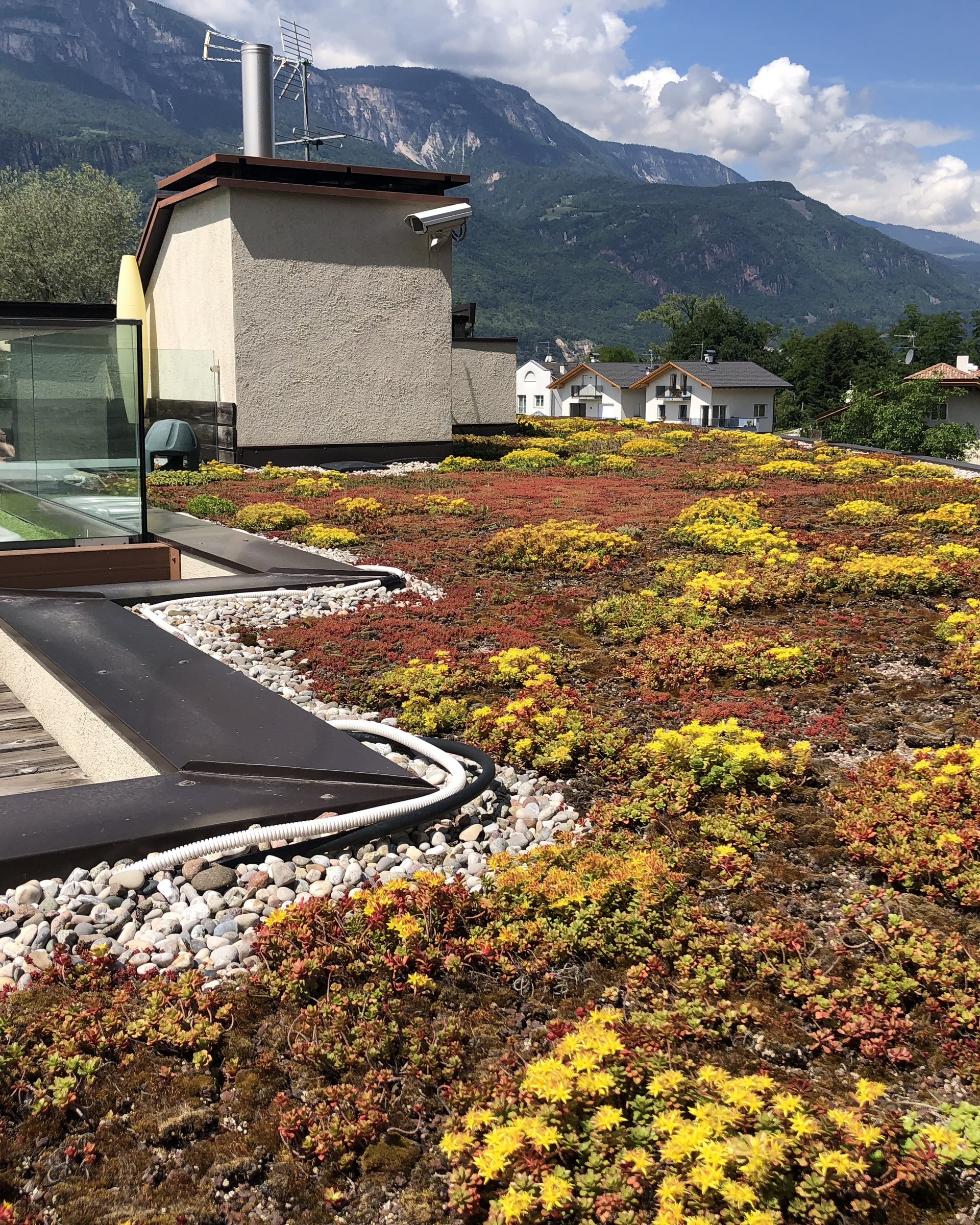 Tetto verde - progettazione e servizio a 360° Tetto verde - progettazione e servizio a 360°