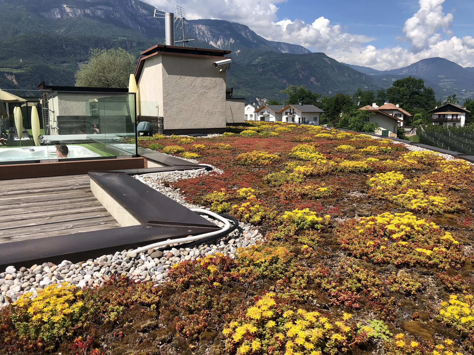 Tetto verde - progettazione e servizio a 360° Tetto verde - progettazione e servizio a 360°