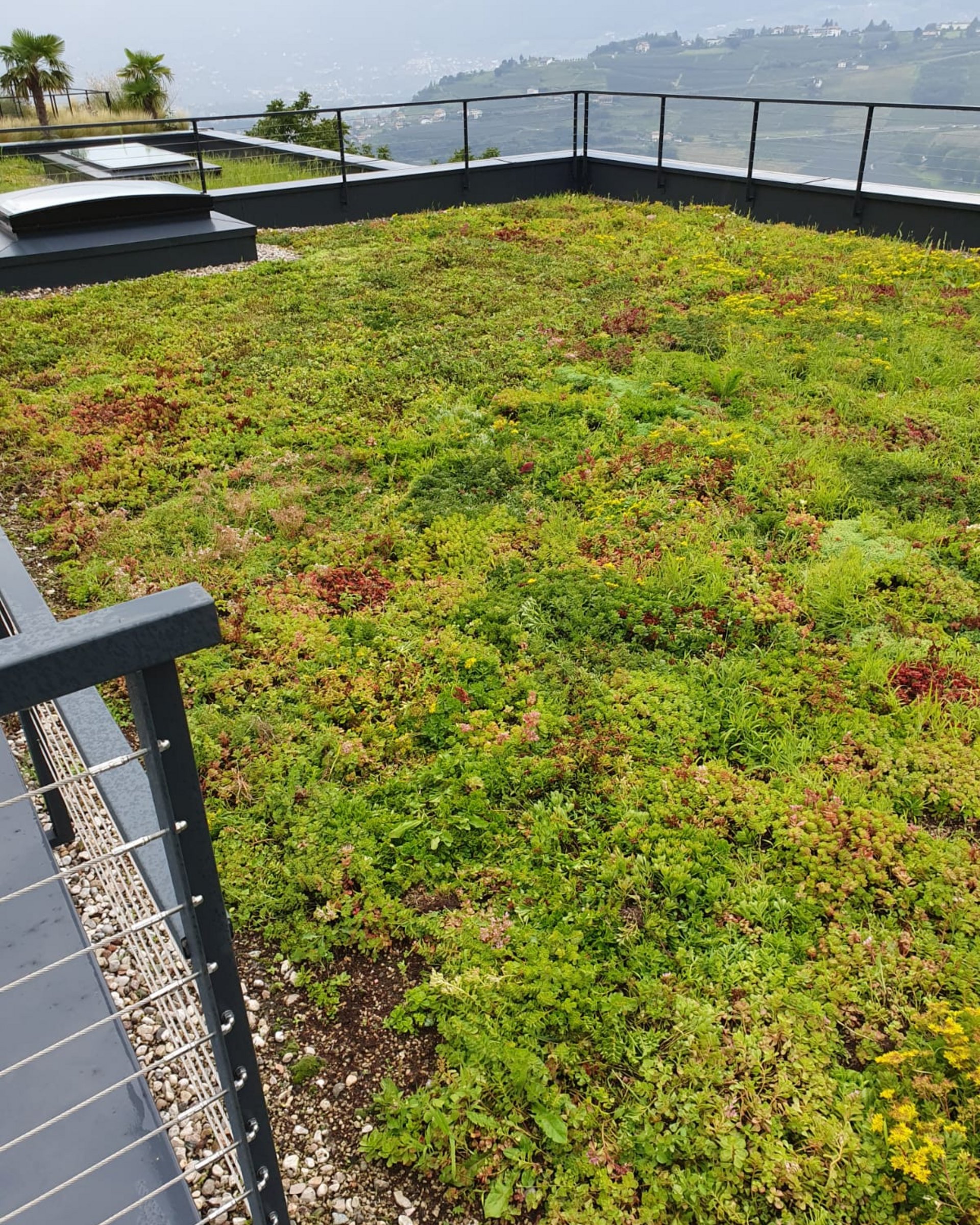 Wir haben alles für’s Dach: Lass die Experten ran! Wir haben alles für’s Dach: Lass die Experten ran!