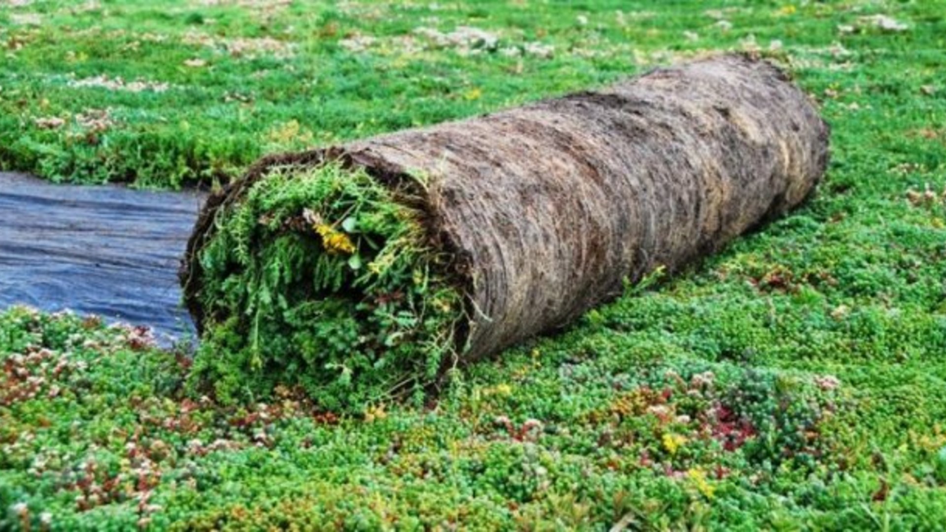 Wir haben alles für’s Dach: Lass die Experten ran! Wir haben alles für’s Dach: Lass die Experten ran!