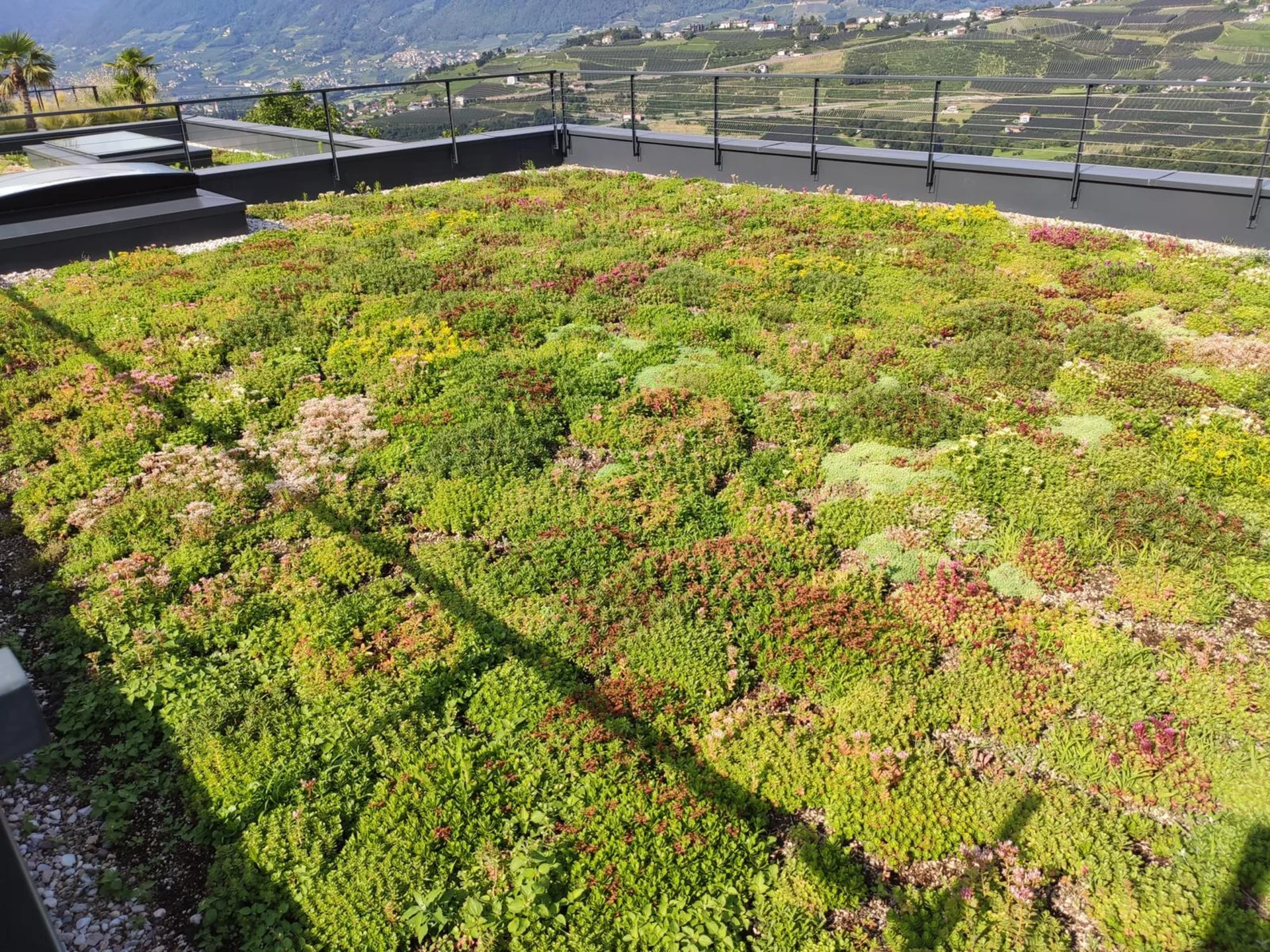 La progettazione del tuo giardino, facile e veloce La progettazione del tuo giardino, facile e veloce