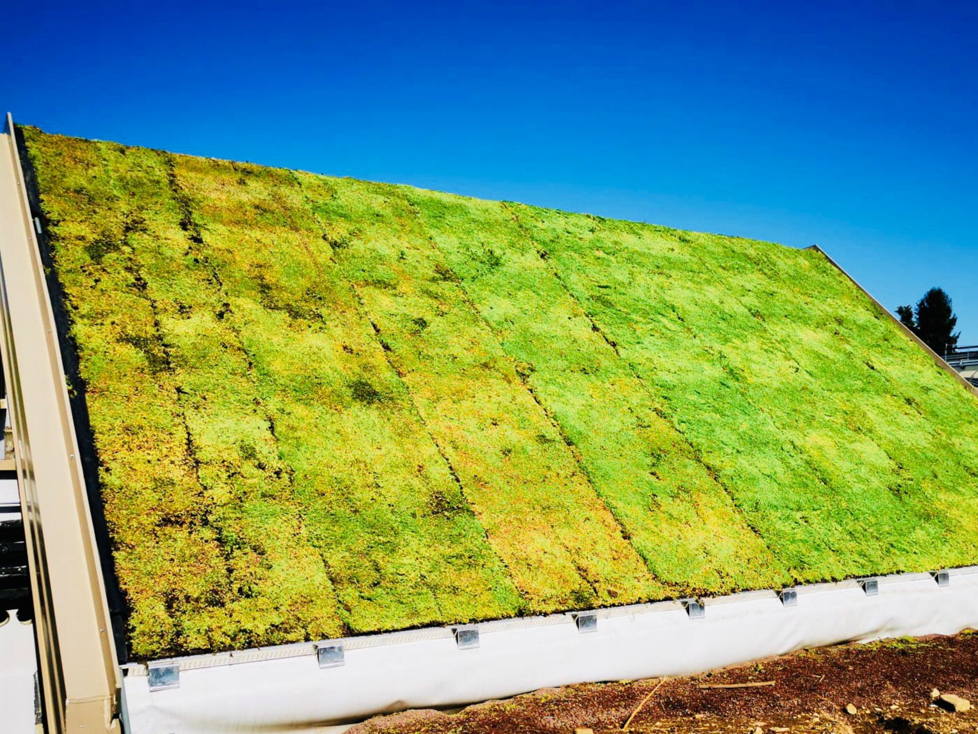 Tetti spioventi del professionista Rasenfix Tetti spioventi del professionista Rasenfix