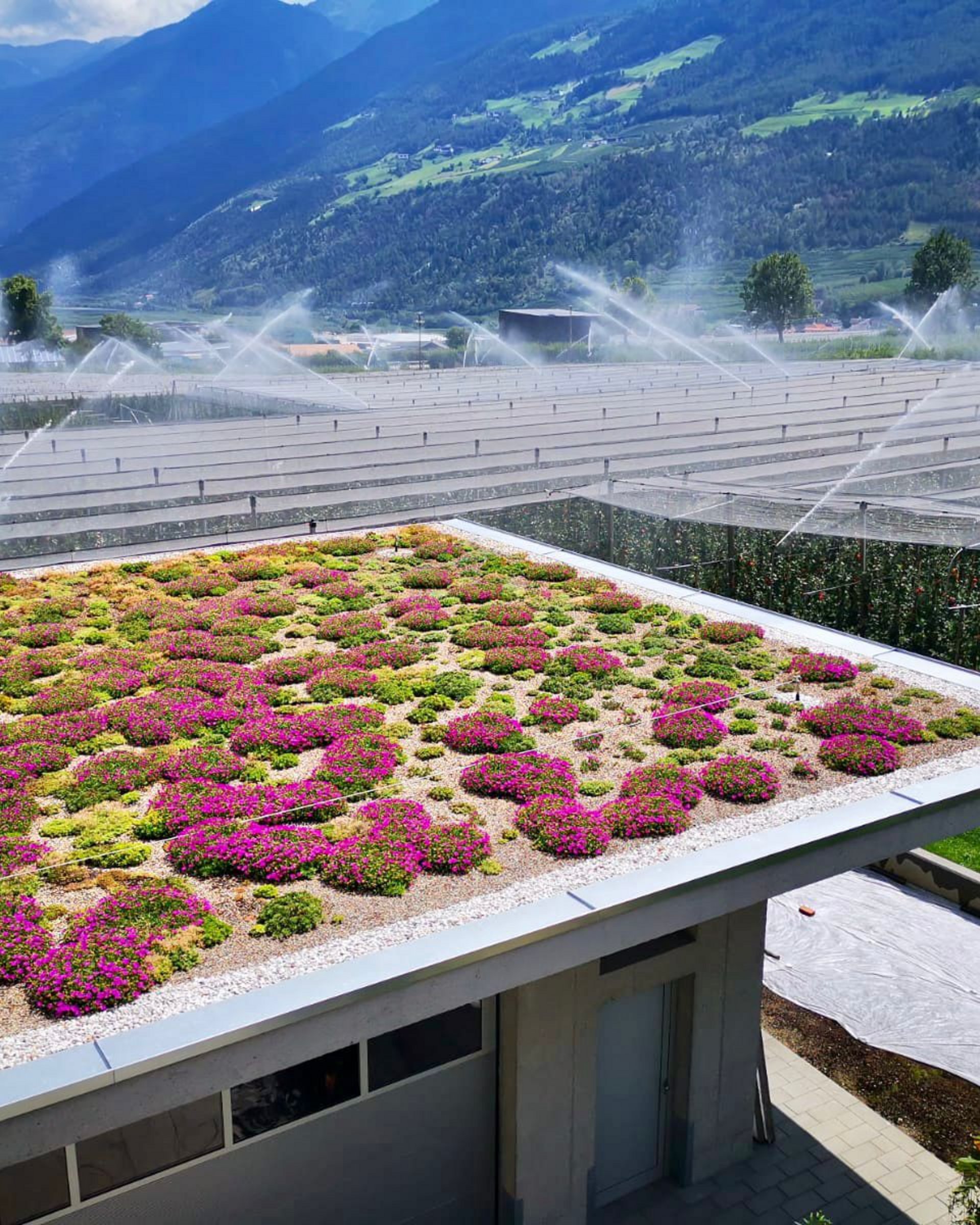 Retentionsdach für Südtirol - innovativ Retentionsdach für Südtirol - innovativ