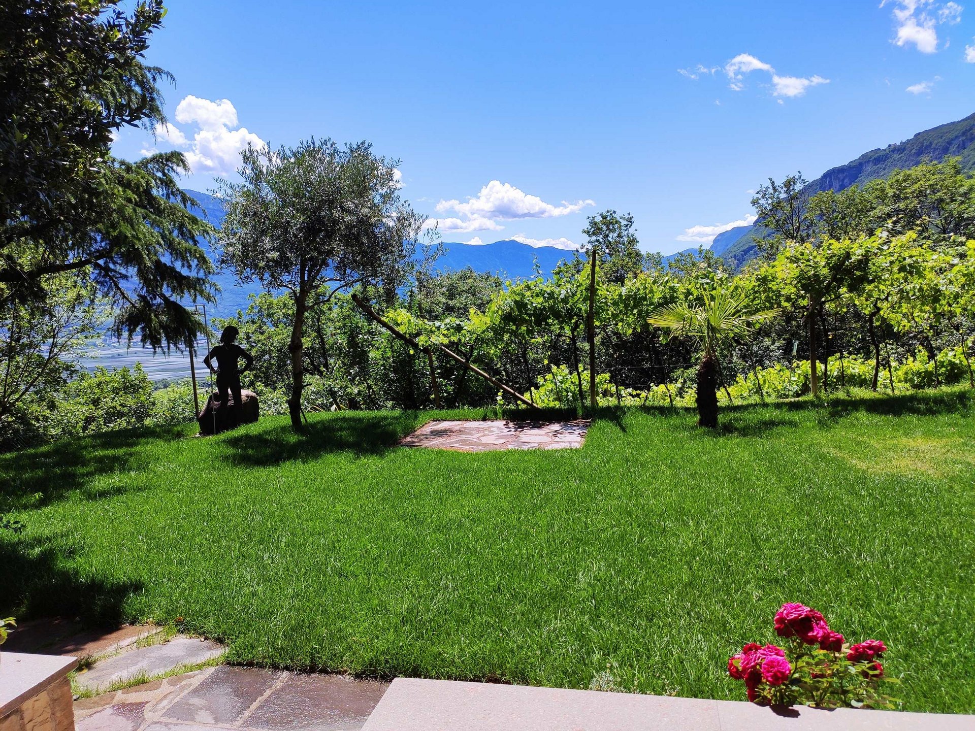 Private Gardening: der Privatgarten von Rasenfix Private Gardening: der Privatgarten von Rasenfix