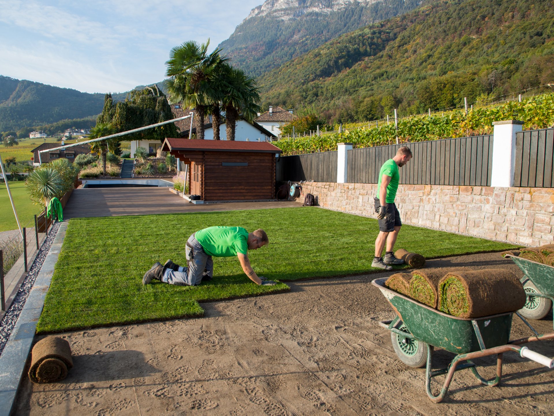 Posa prato a rotoli e mauntenzione Posa prato a rotoli e mauntenzione