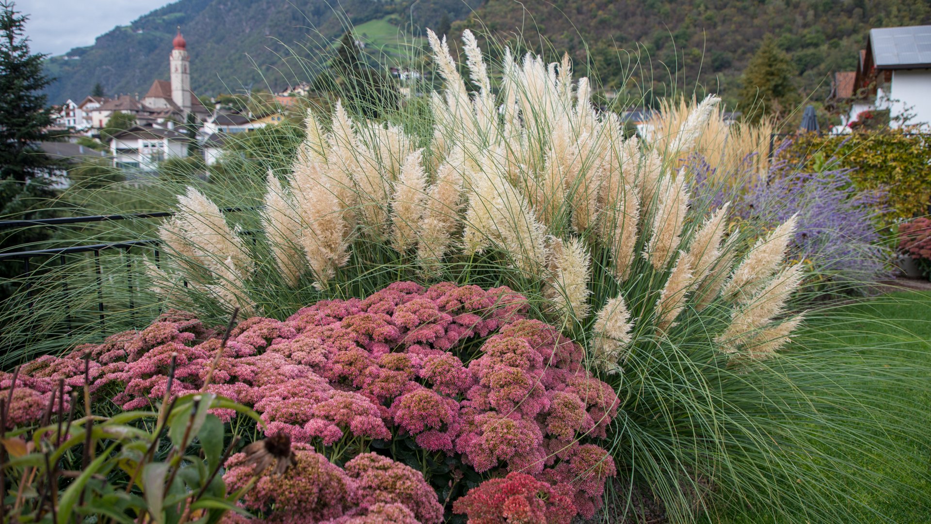 Prato perfetto per essere in sintonia con la natura! Prato perfetto per essere in sintonia con la natura!