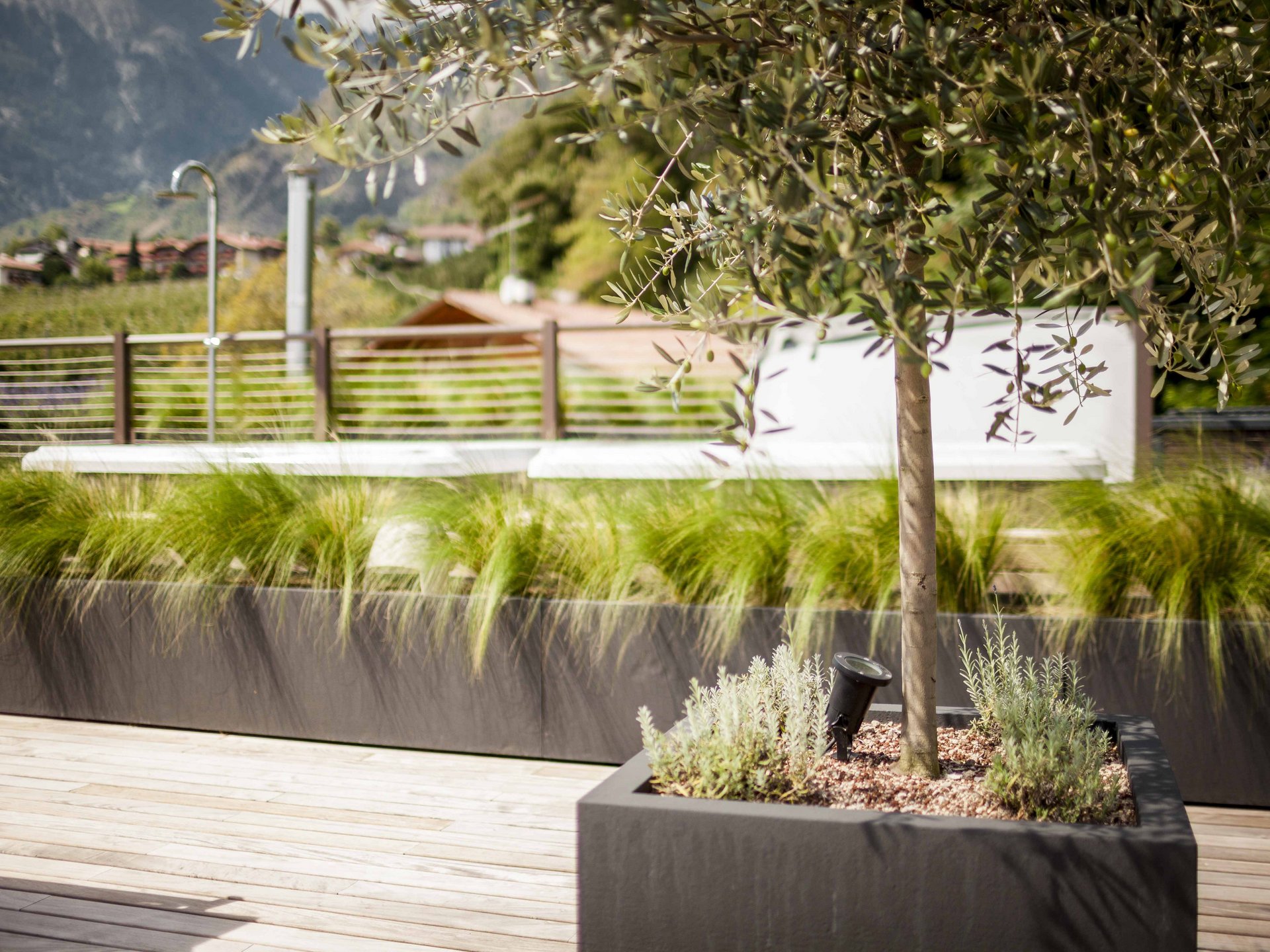 Gartentrends zum Mitverfolgen Gartentrends zum Mitverfolgen