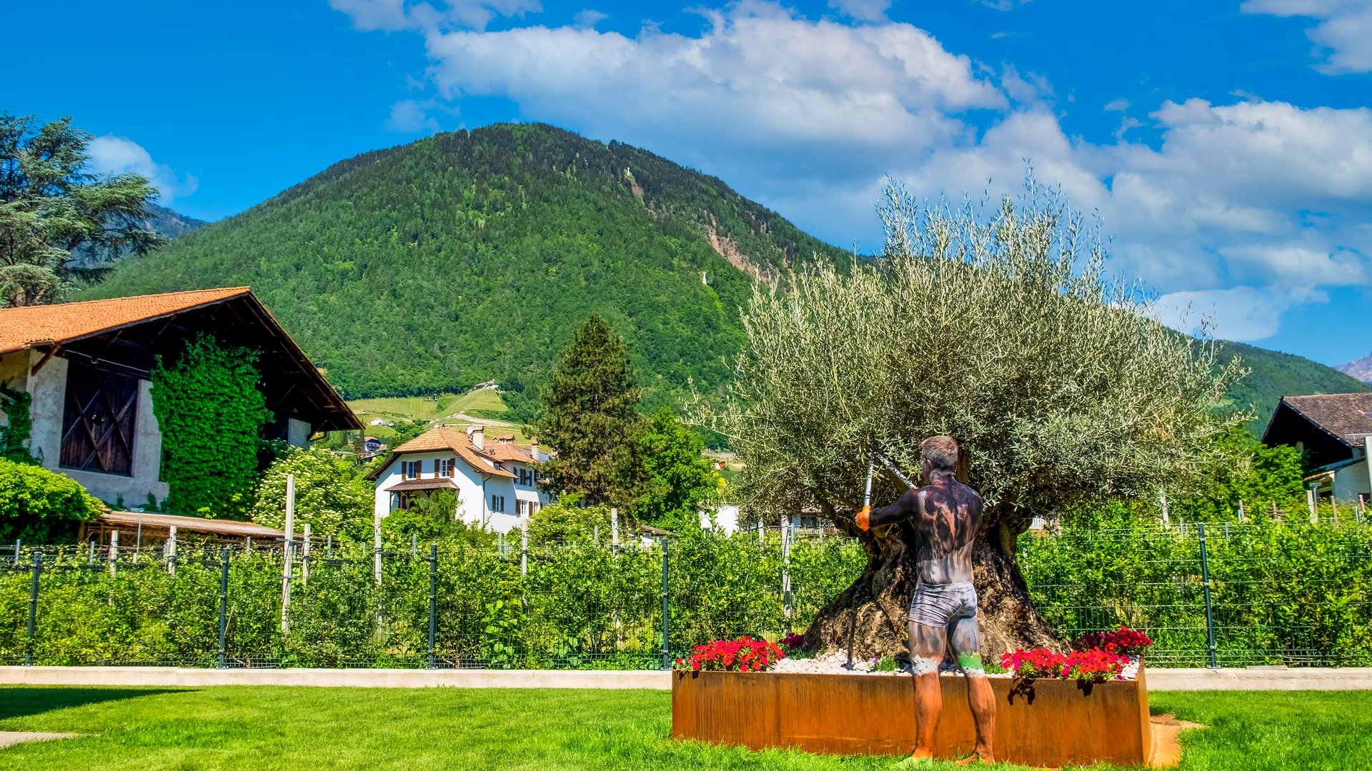 Rasenfix » Tutto per giardino, tetto e prato Rasenfix » Tutto per giardino, tetto e prato