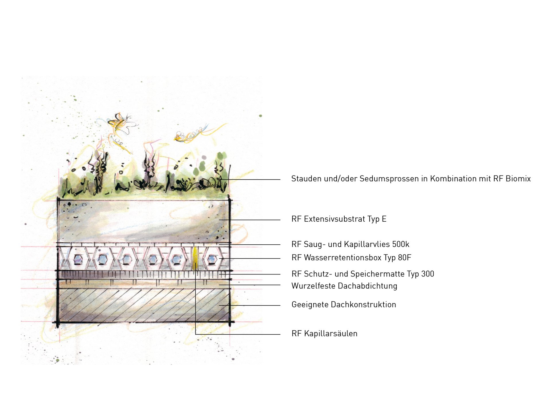 Retentionsdach für Südtirol - innovativ Retentionsdach für Südtirol - innovativ