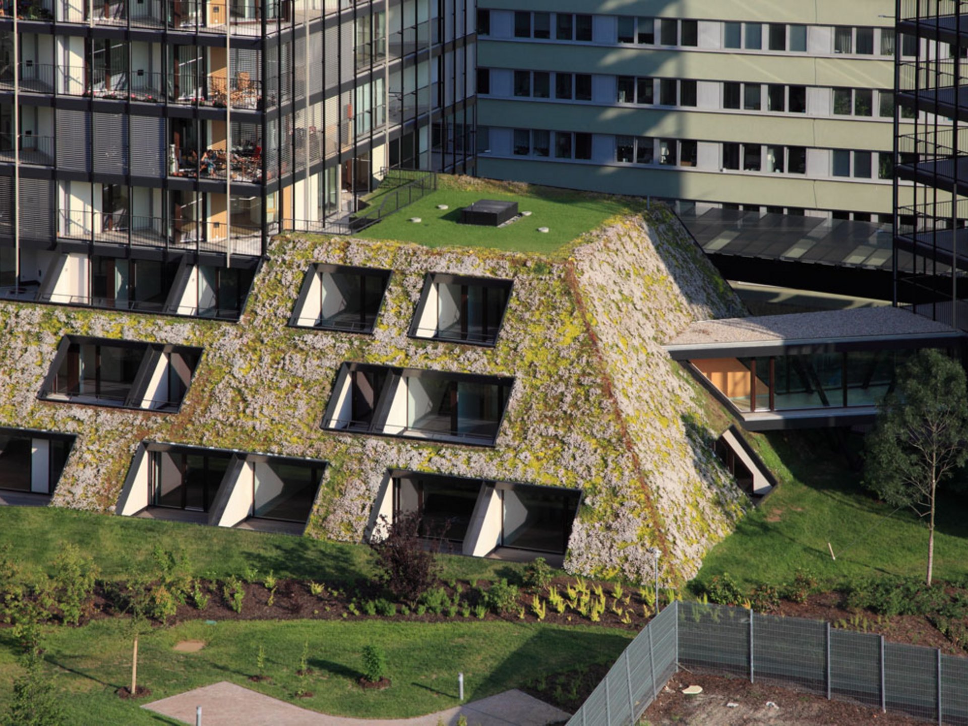 Extensive Dachbegrünung Südtirol - pflegeleicht Extensive Dachbegrünung Südtirol - pflegeleicht