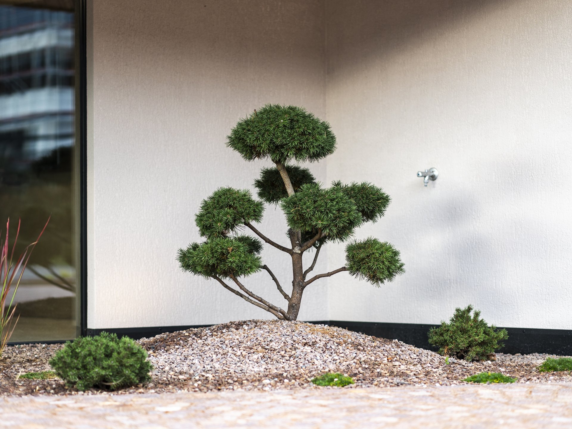 Plan Ar Nalles Plan Ar Nalles