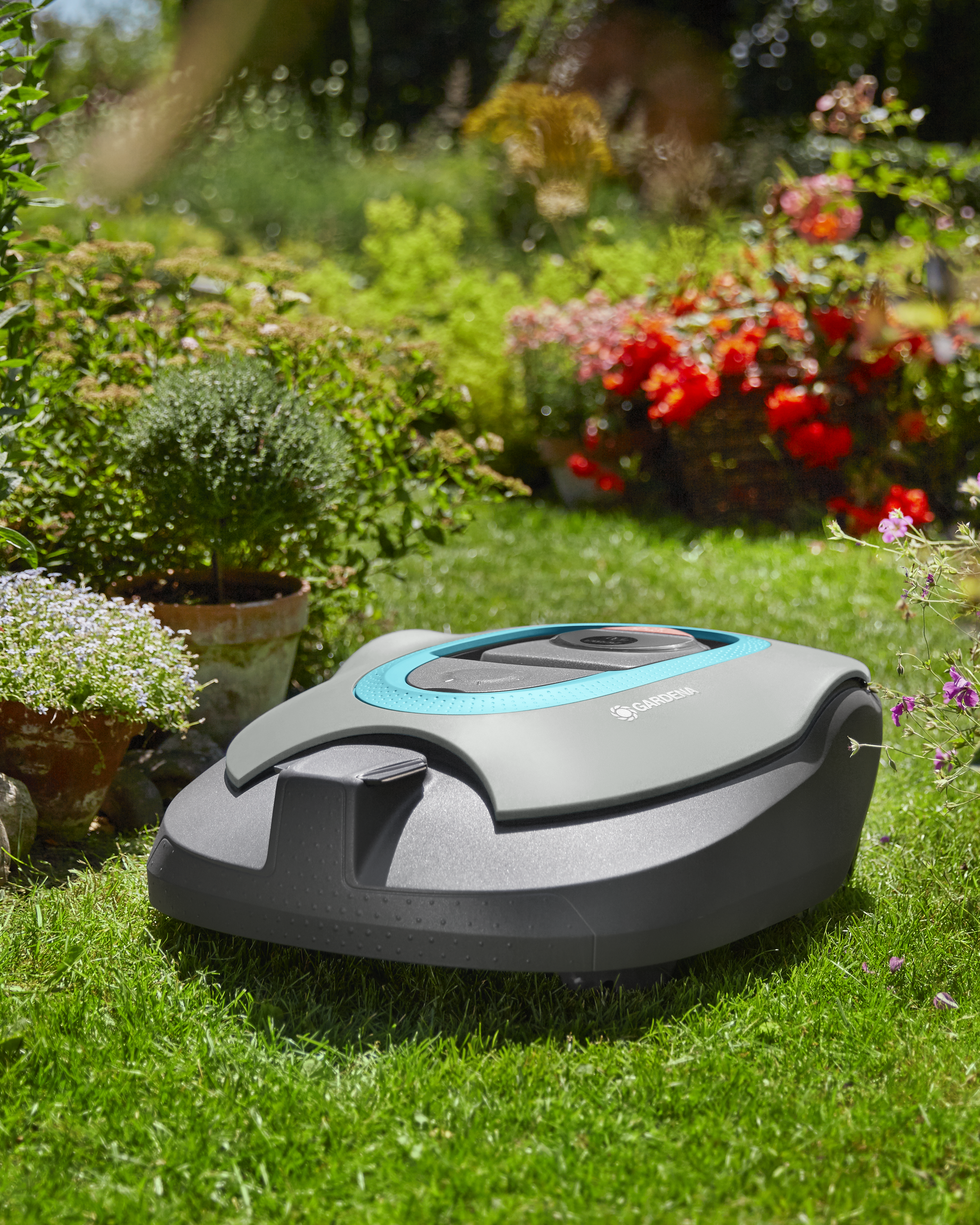 Beet-Einfassungen: spielerisch mit unseren Systemen Beet-Einfassungen: spielerisch mit unseren Systemen