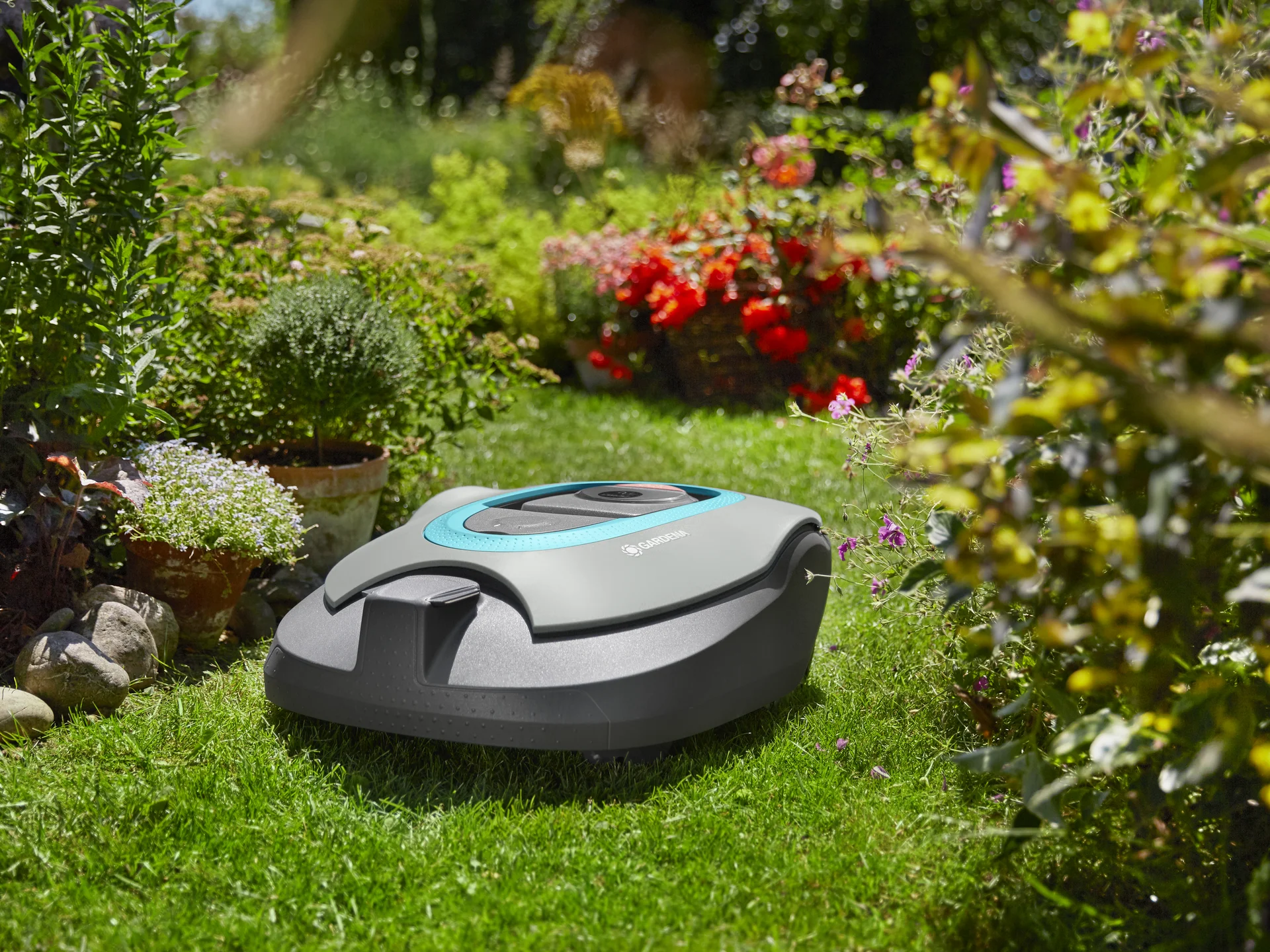 Prodotti da giardinaggio per tutti i gusti Prodotti da giardinaggio per tutti i gusti