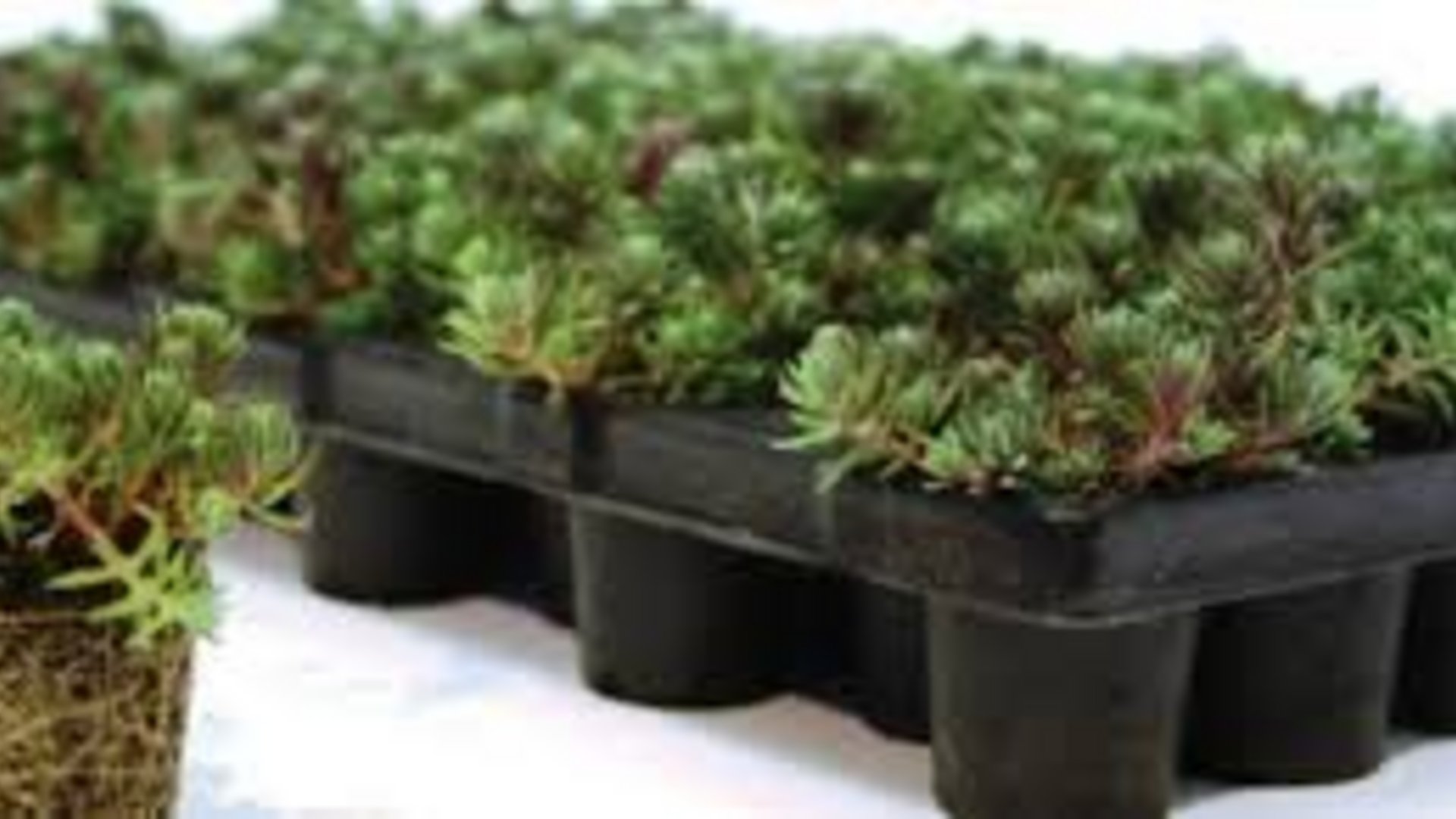 Wir haben alles für’s Dach: Lass die Experten ran! Wir haben alles für’s Dach: Lass die Experten ran!