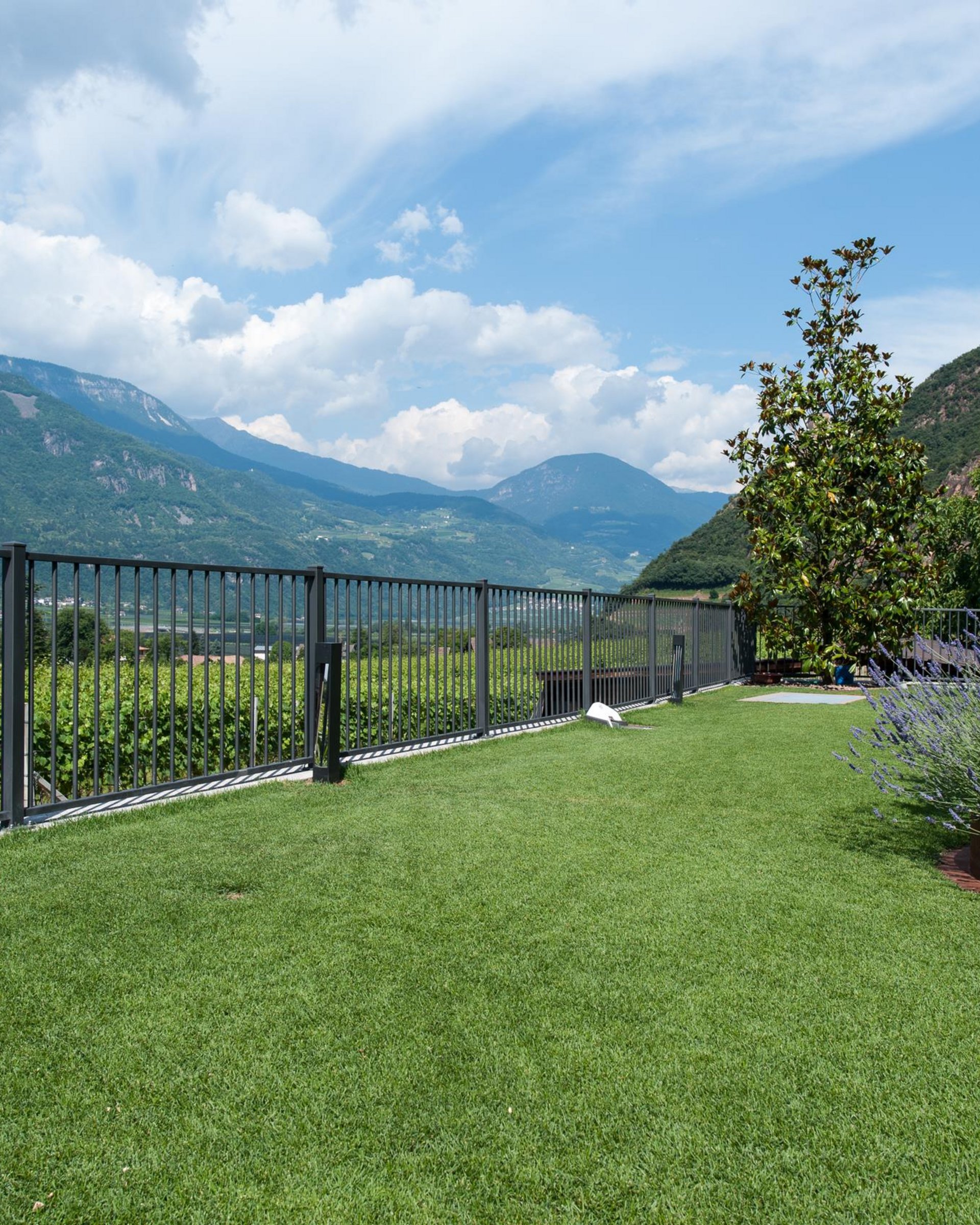 Garni Lilly Garni Lilly