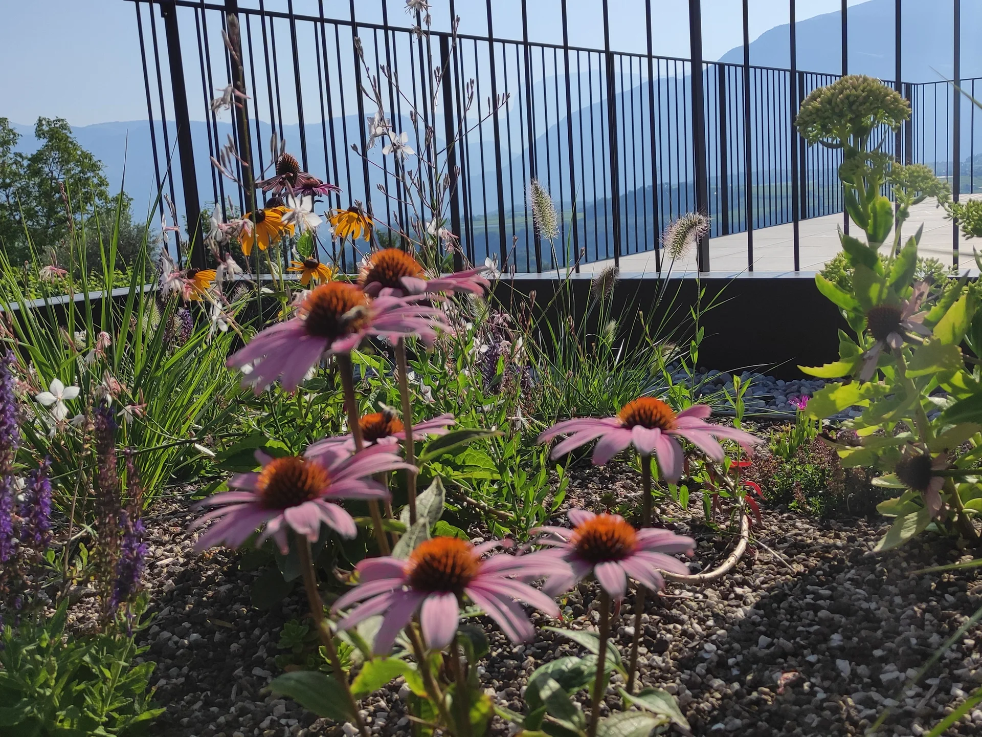 Villa Montis in Eppan Berg Villa Montis in Eppan Berg