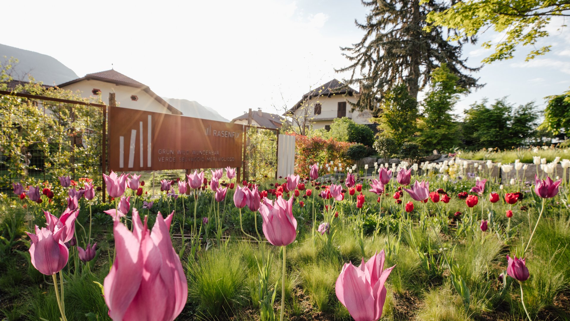 Gartengestaltung Südtirol - Profi in deiner Nähe Gartengestaltung Südtirol - Profi in deiner Nähe