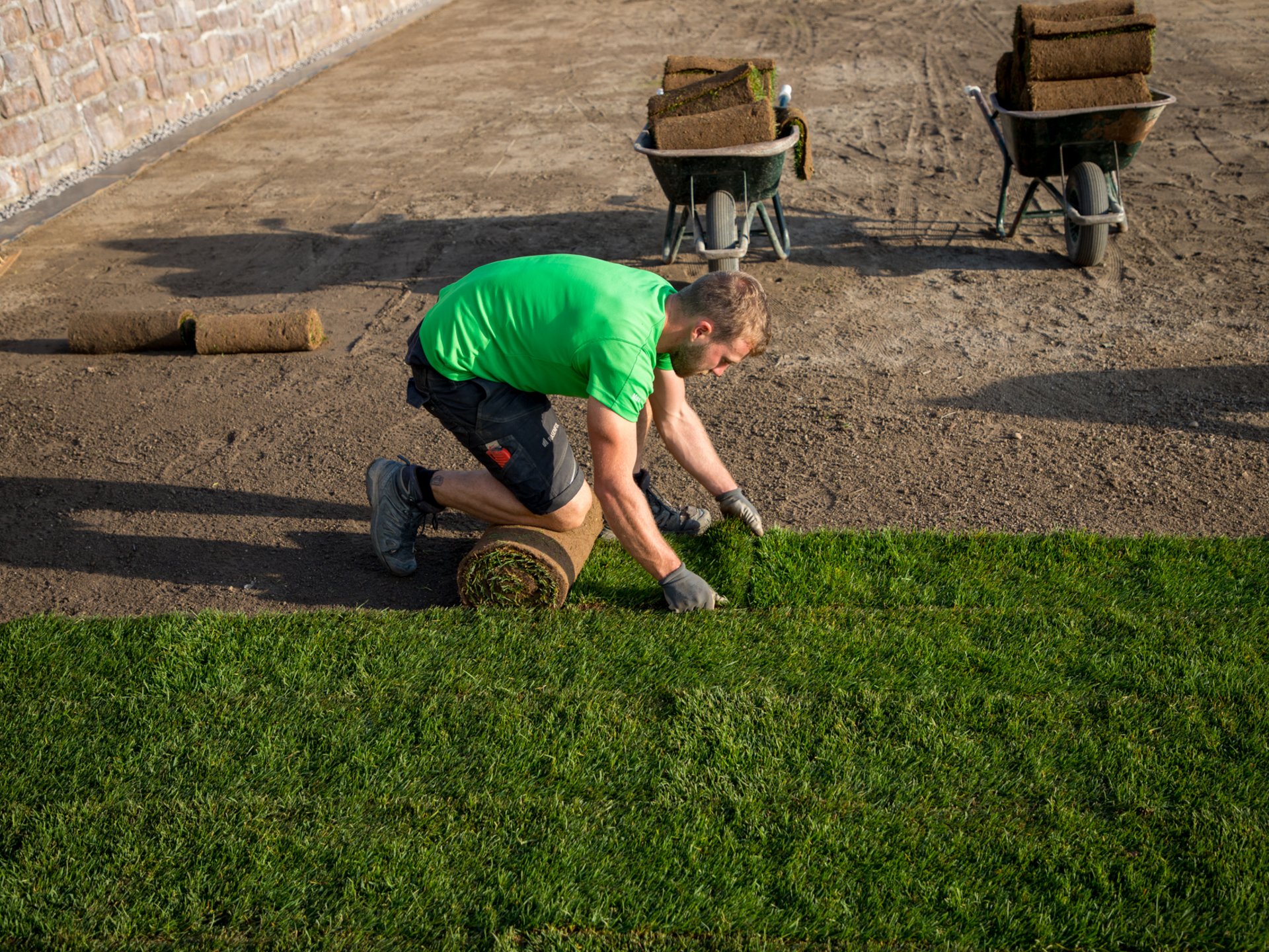 Posa prato a rotoli e mauntenzione Posa prato a rotoli e mauntenzione