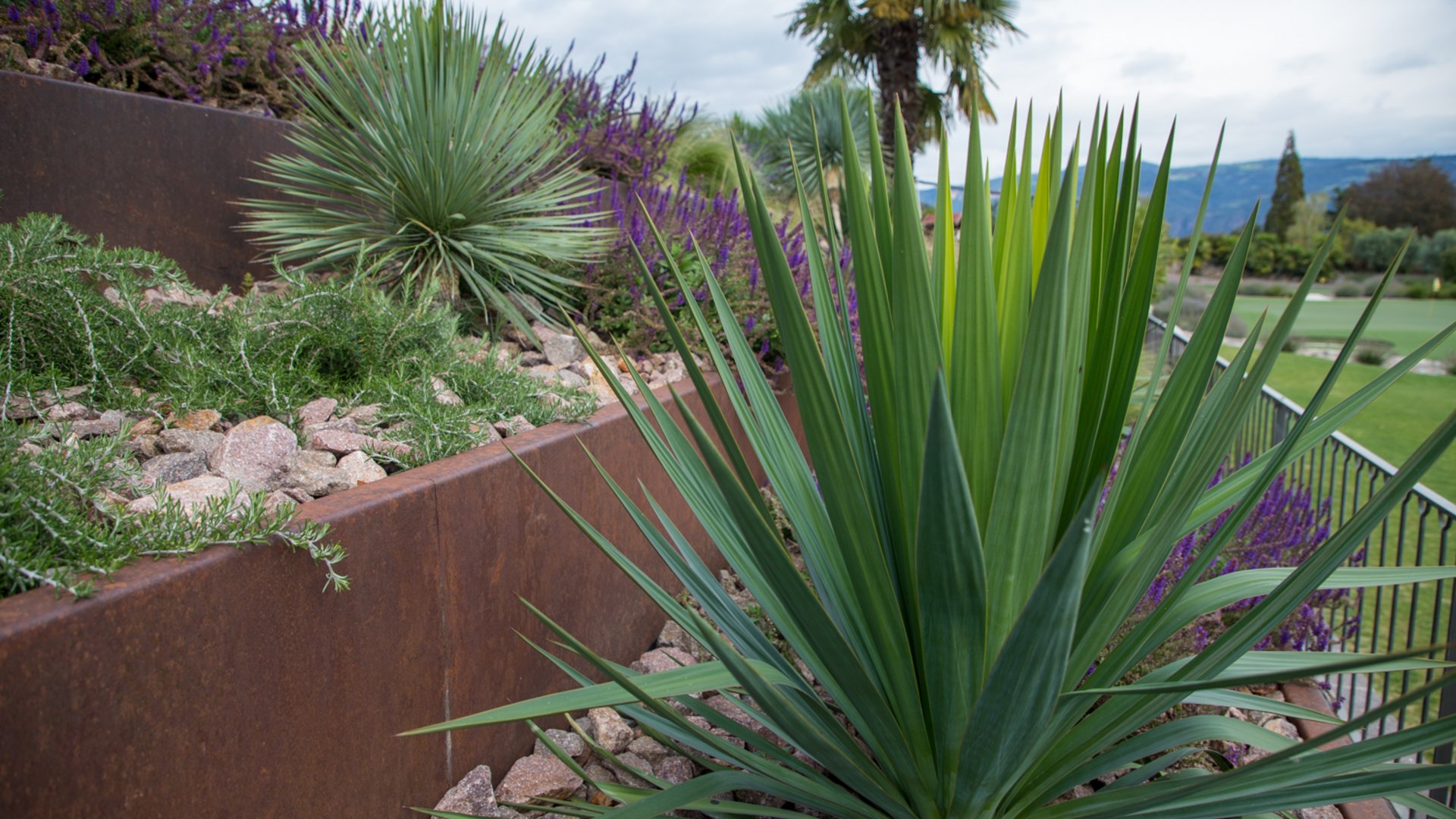 Separatori da giardino, ma anche fioriere, vasi Separatori da giardino, ma anche fioriere, vasi
