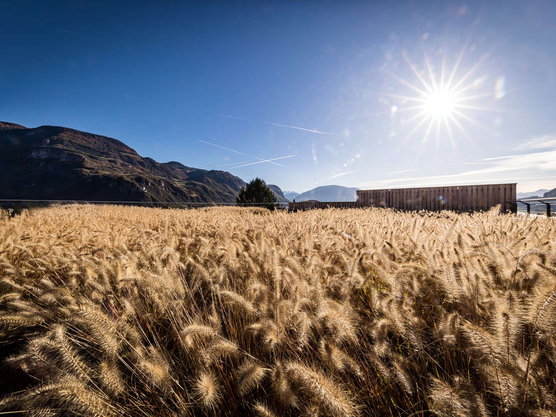Hotel Gantkofel ad Andriano Hotel Gantkofel ad Andriano