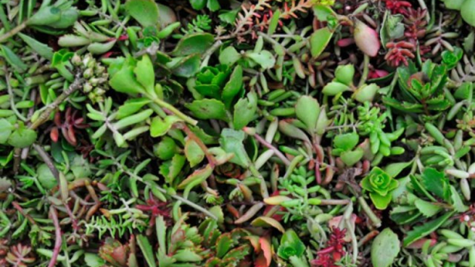 Wir haben alles für’s Dach: Lass die Experten ran! Wir haben alles für’s Dach: Lass die Experten ran!