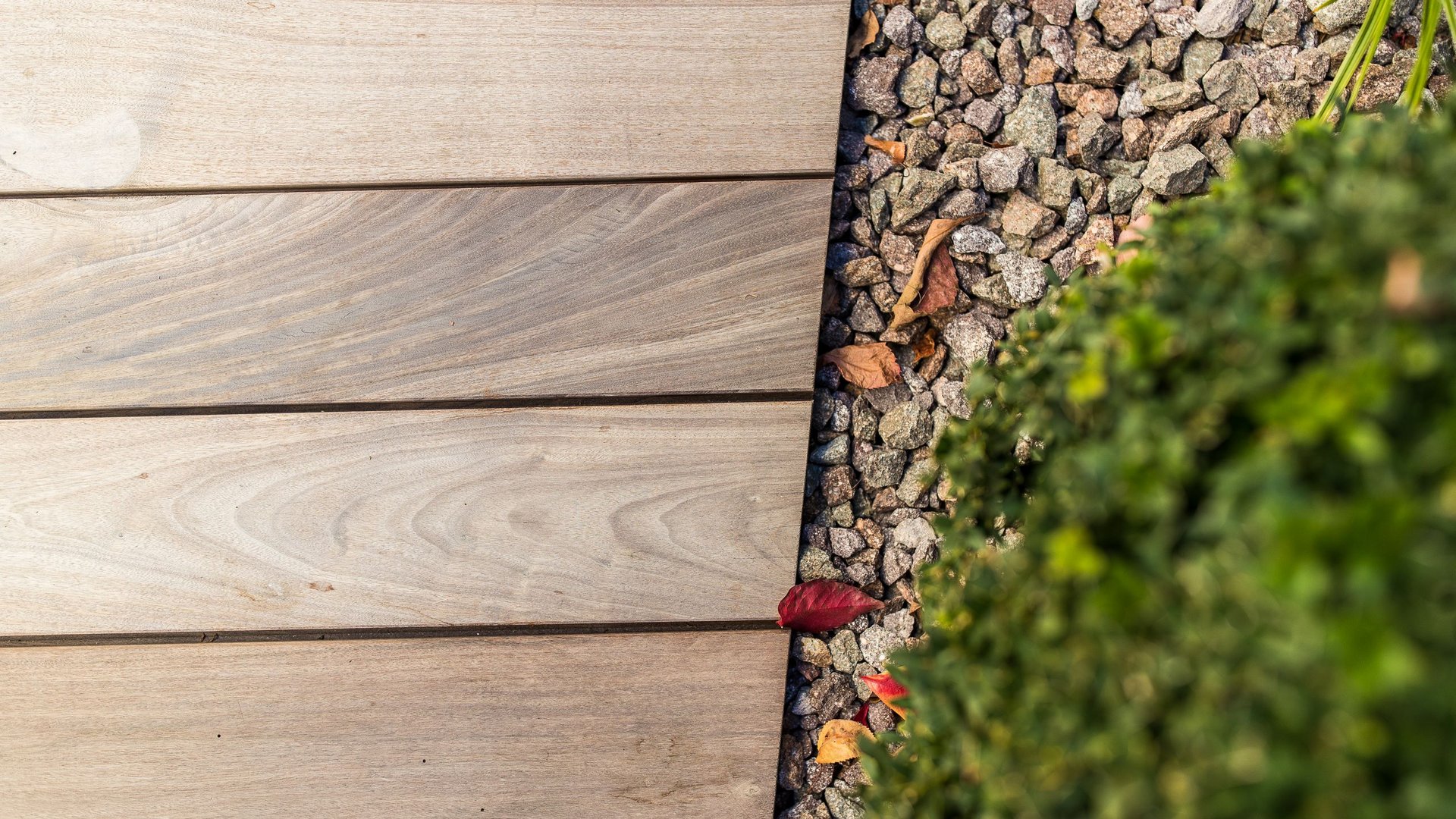 Pavimentazione da esterni e tappeto erboso Pavimentazione da esterni e tappeto erboso