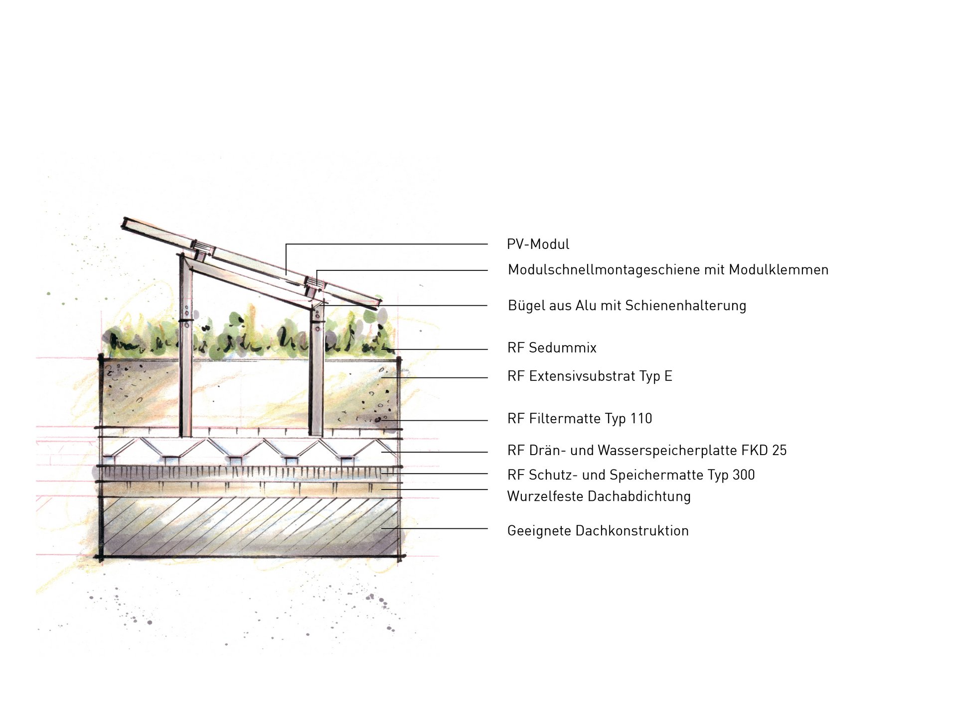 Solargründach von Rasenfix: höchste Effizienz Solargründach von Rasenfix: höchste Effizienz
