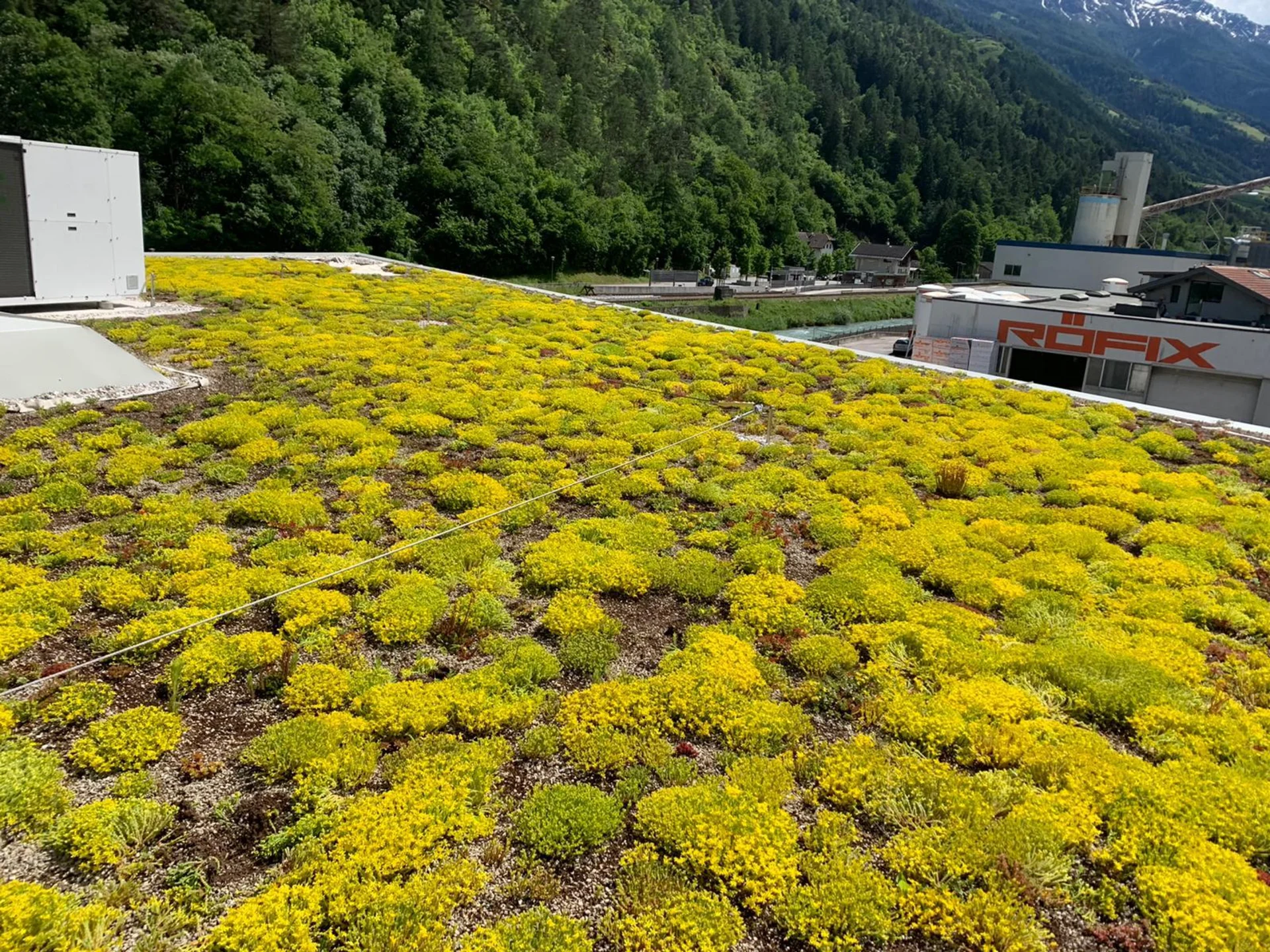 Tetto verde - progettazione e servizio a 360° Tetto verde - progettazione e servizio a 360°