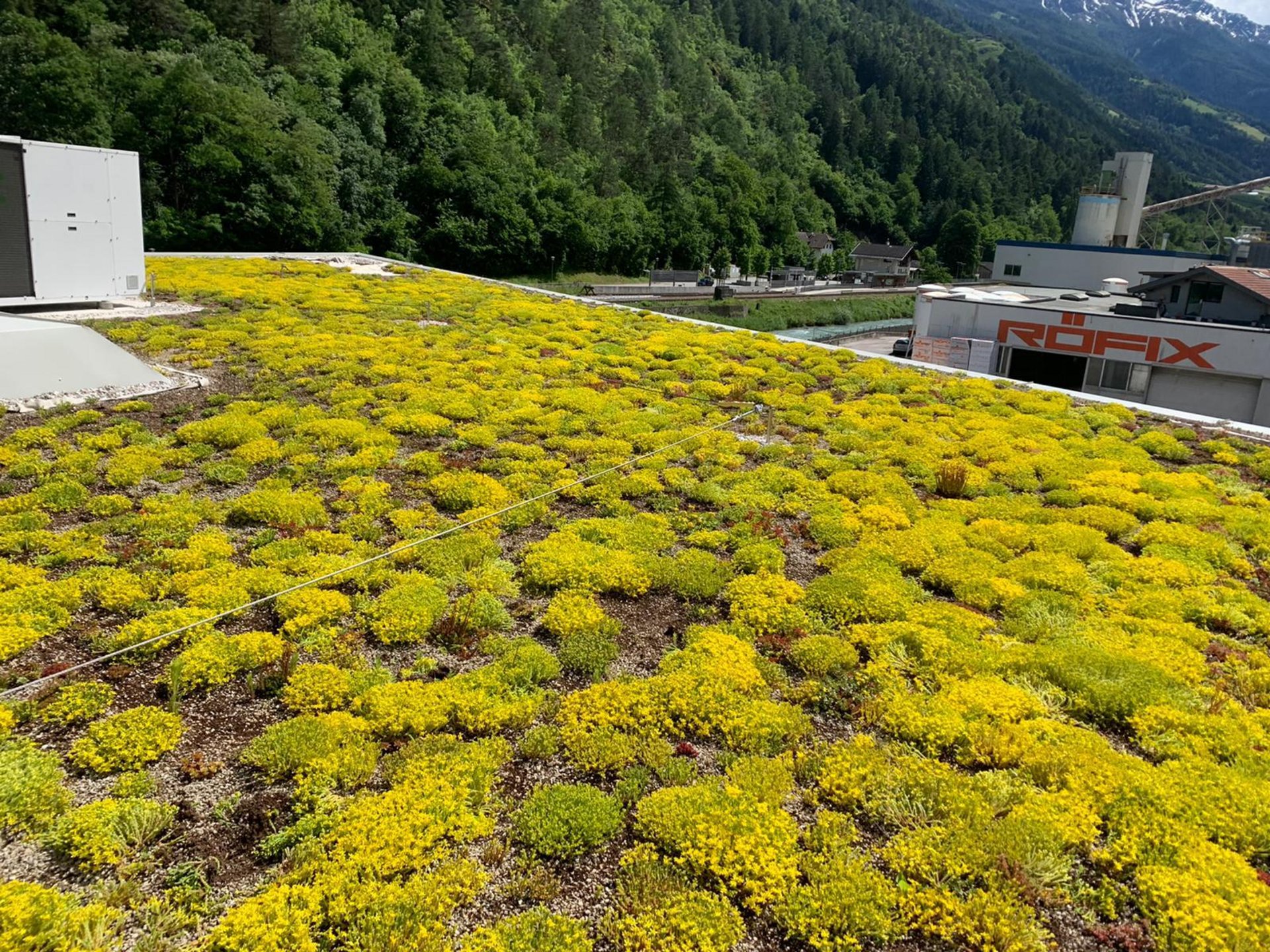 Tetto verde - progettazione e servizio a 360° Tetto verde - progettazione e servizio a 360°