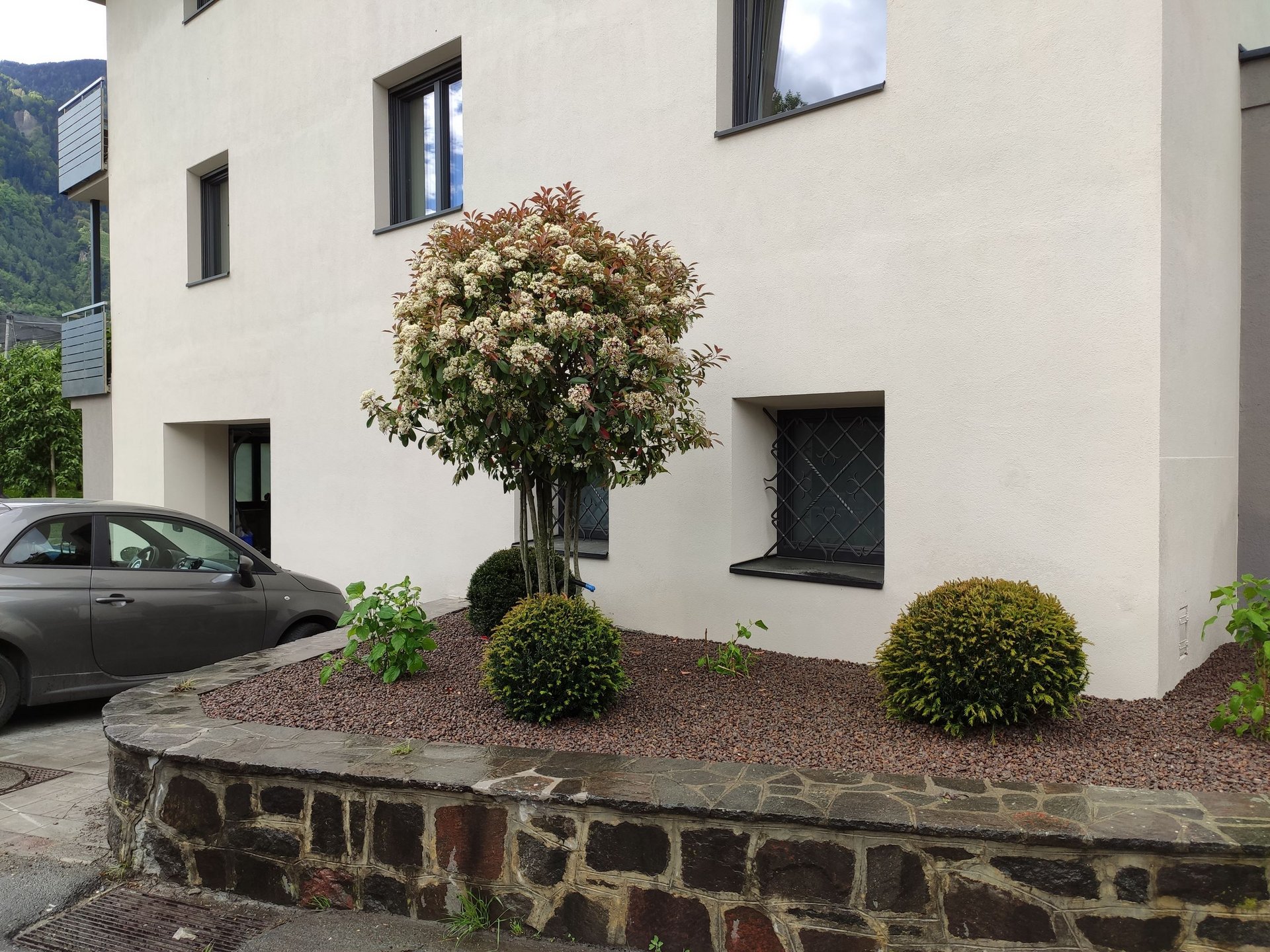 Private Gardening: der Privatgarten von Rasenfix Private Gardening: der Privatgarten von Rasenfix