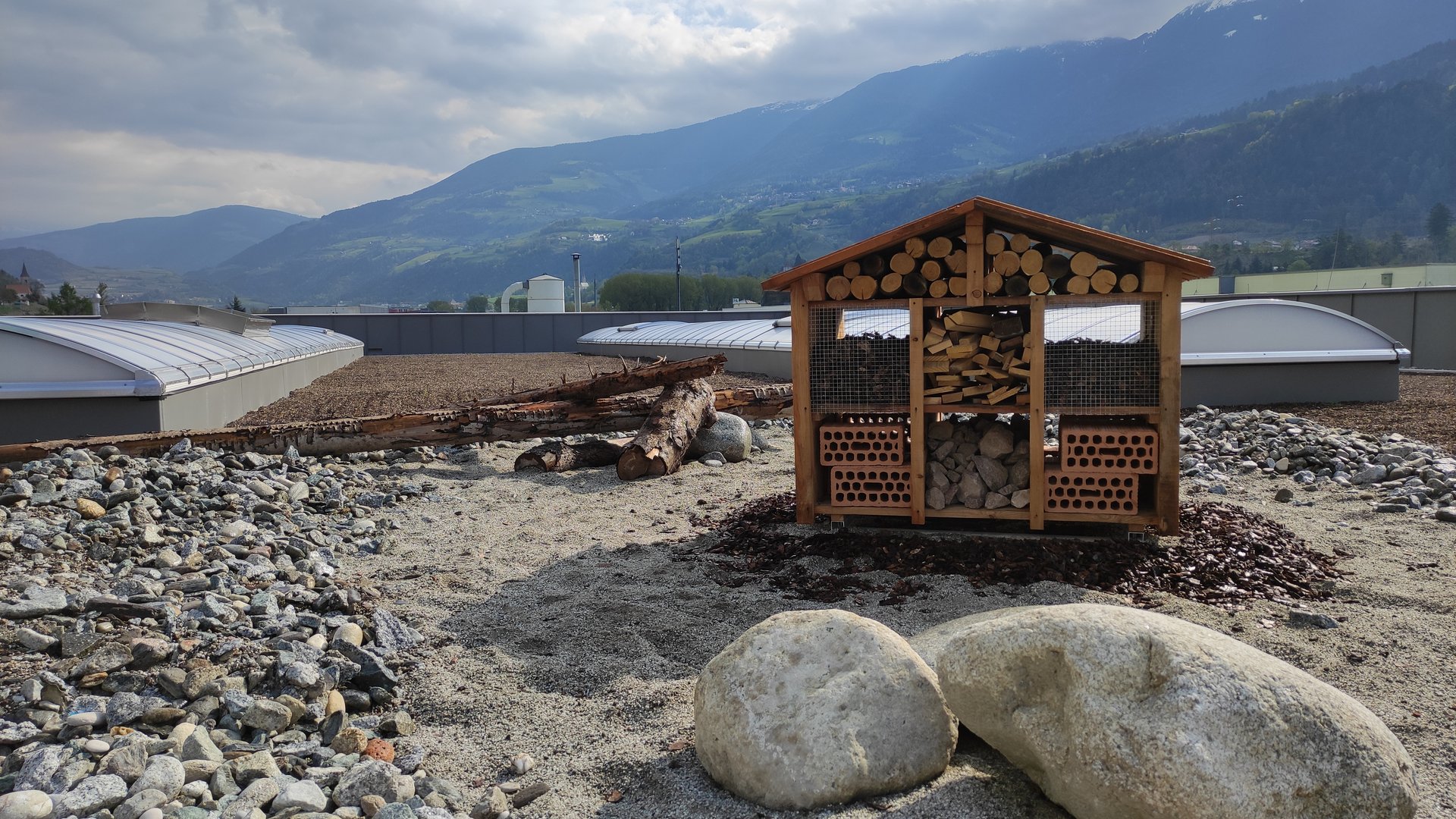 Tetto bio e biotetti - dai vita al tuo tetto verde Tetto bio e biotetti - dai vita al tuo tetto verde