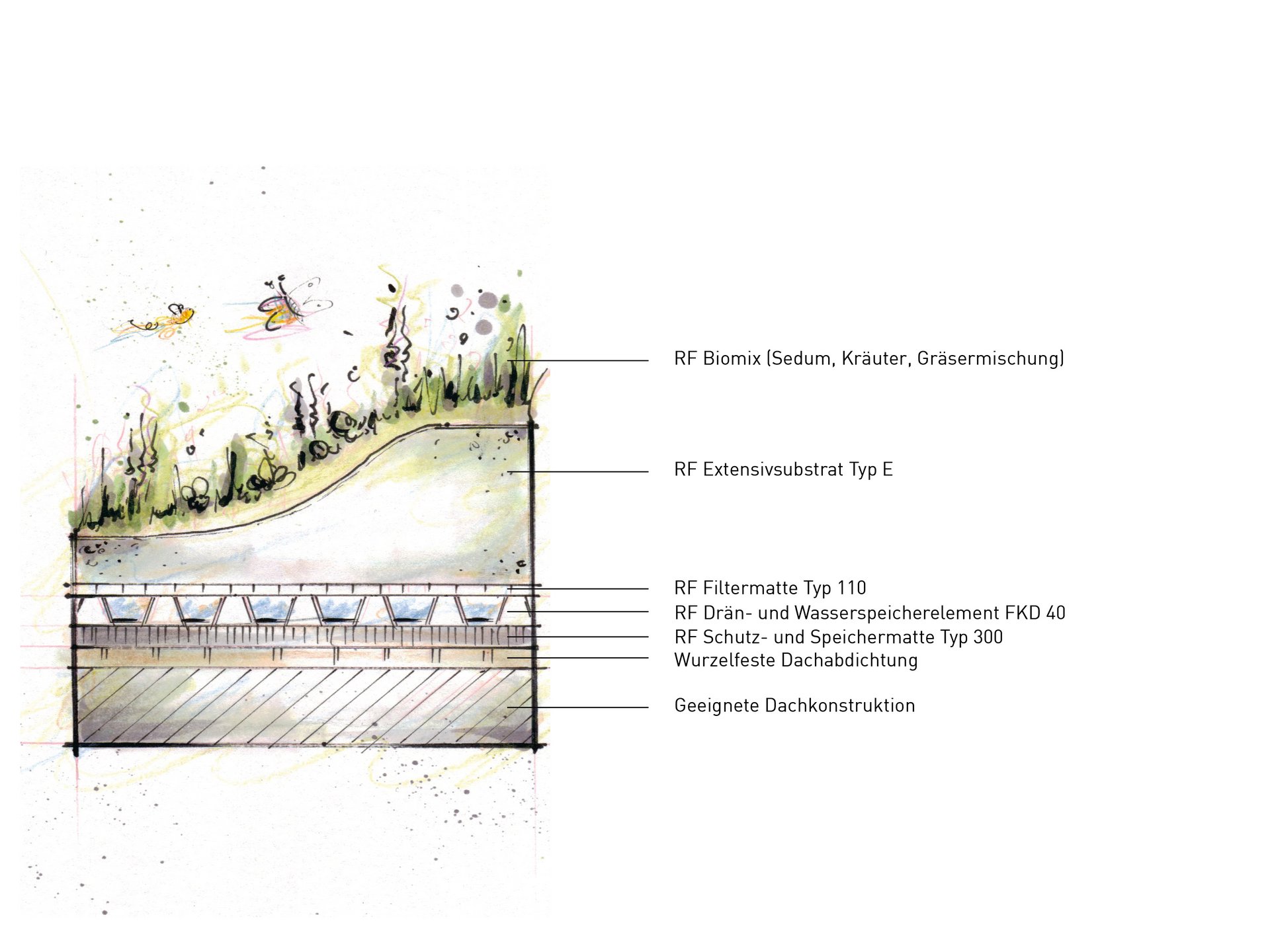 Tetto bio e biotetti - dai vita al tuo tetto verde Tetto bio e biotetti - dai vita al tuo tetto verde