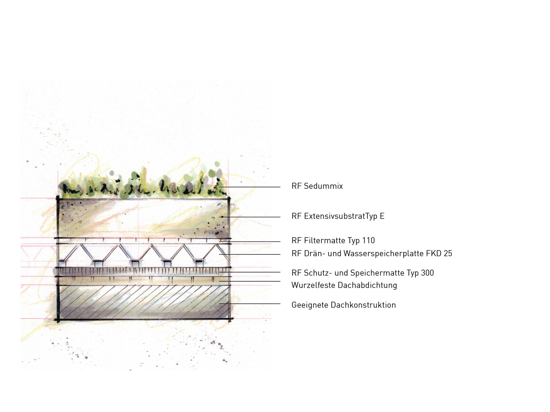 Leichtdach - der schlanke Gründachaufbau Leichtdach - der schlanke Gründachaufbau