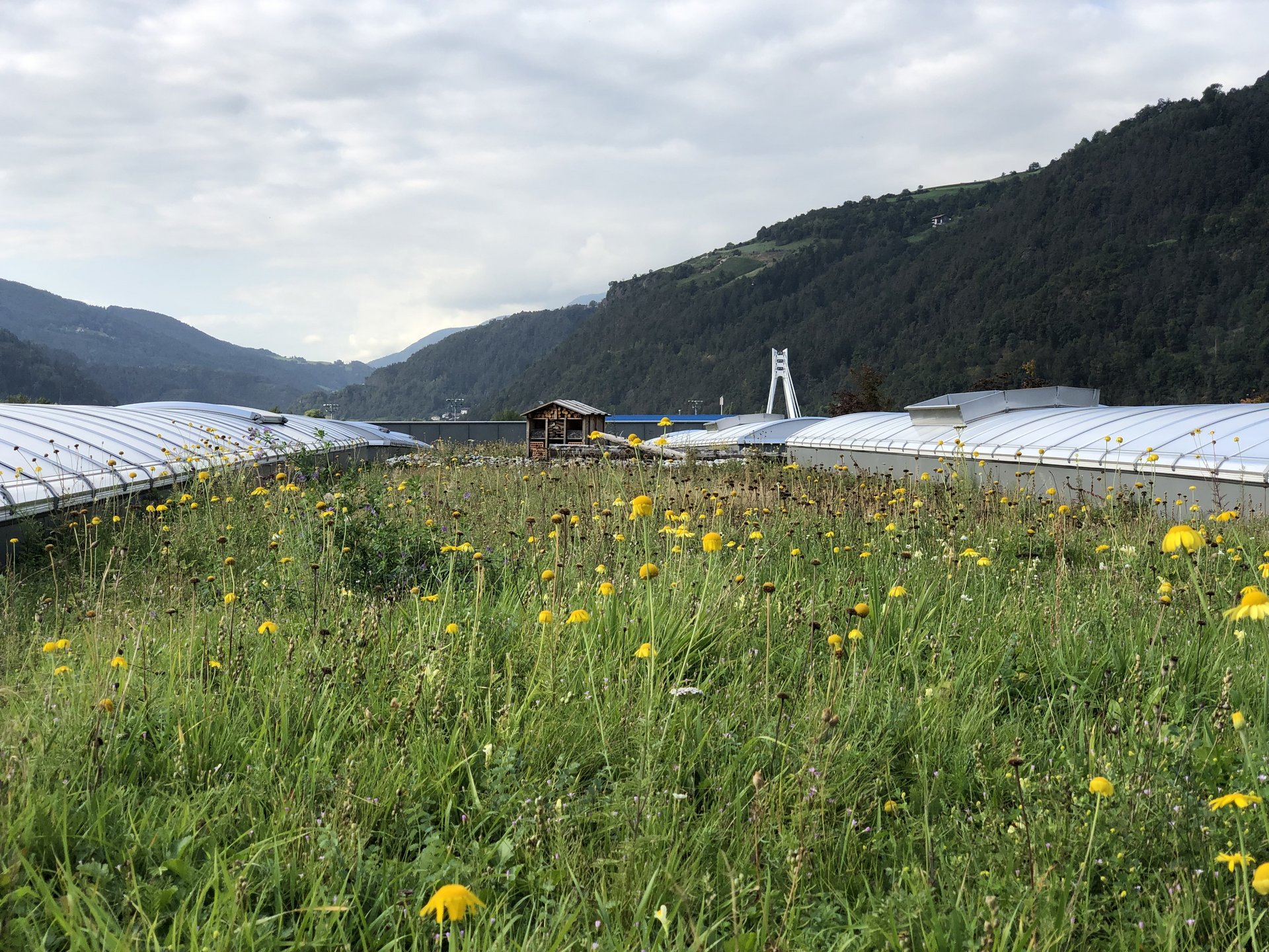 Progress Brixen Progress Brixen