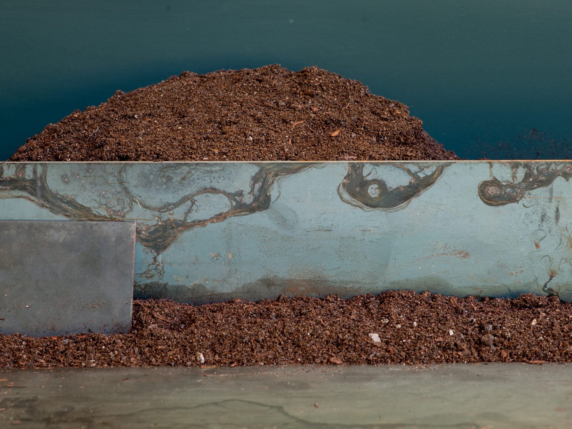 Vieni a vedere il nostro showroom. Vieni a vedere il nostro showroom.