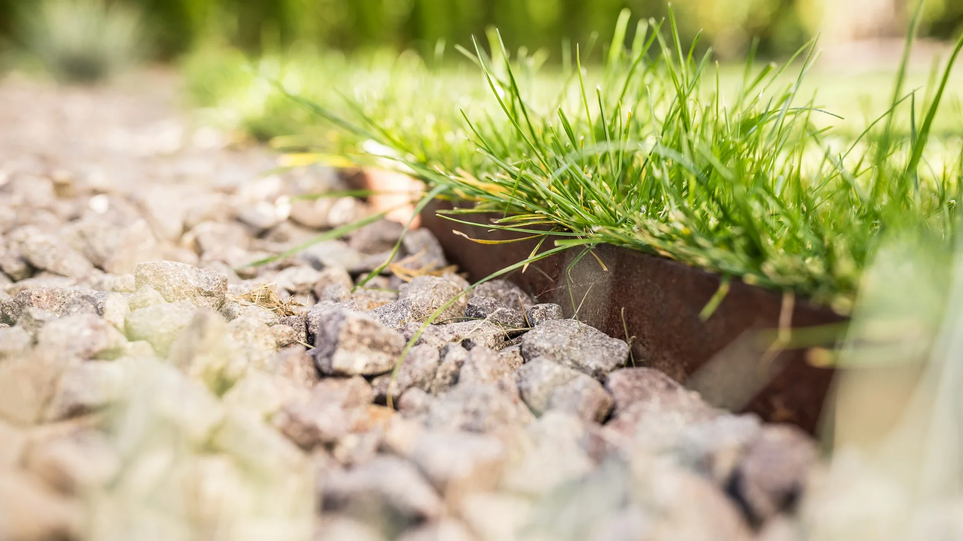 La progettazione del tuo giardino, facile e veloce La progettazione del tuo giardino, facile e veloce