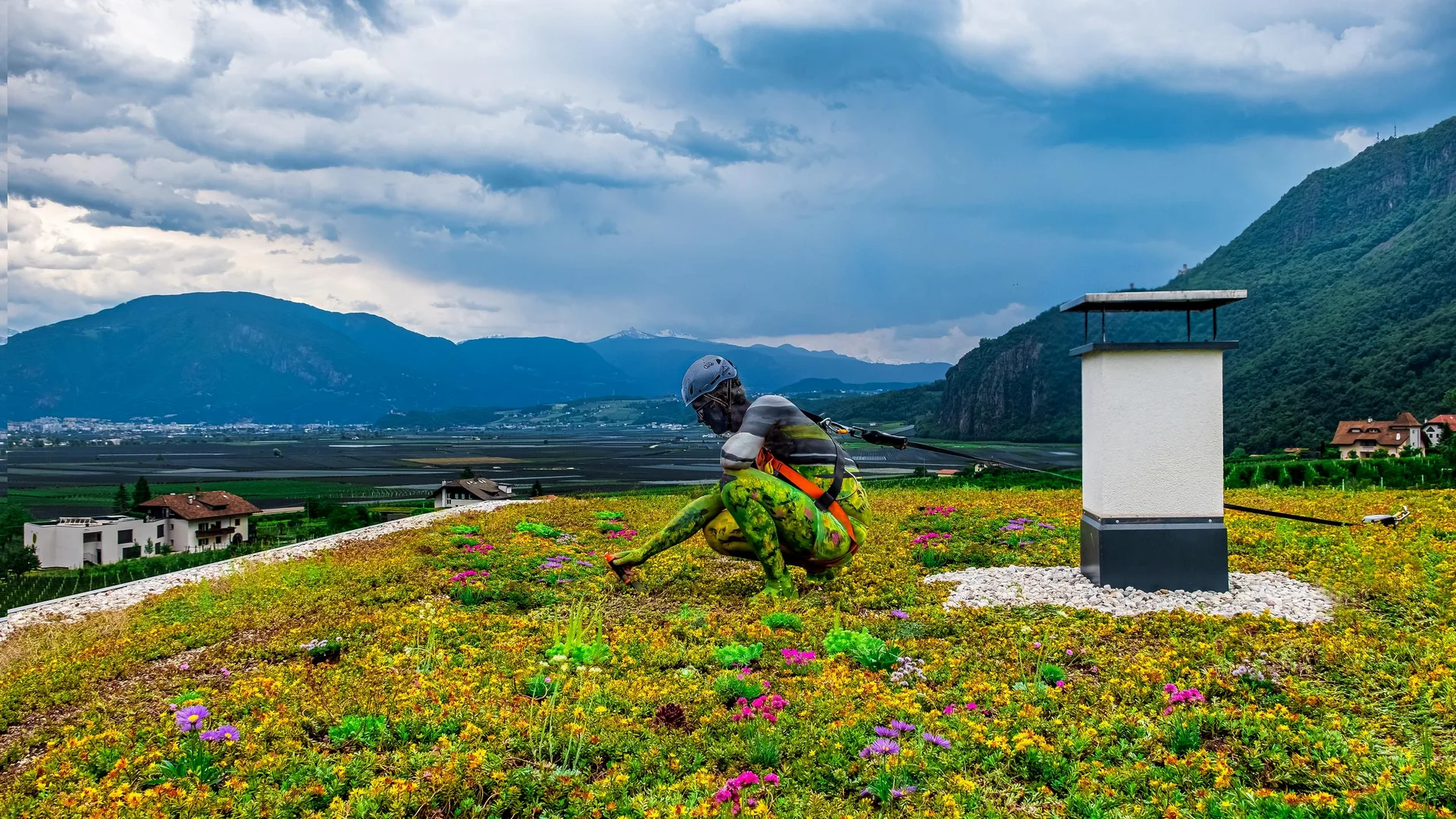 Tetto verde - progettazione e servizio a 360° Tetto verde - progettazione e servizio a 360°