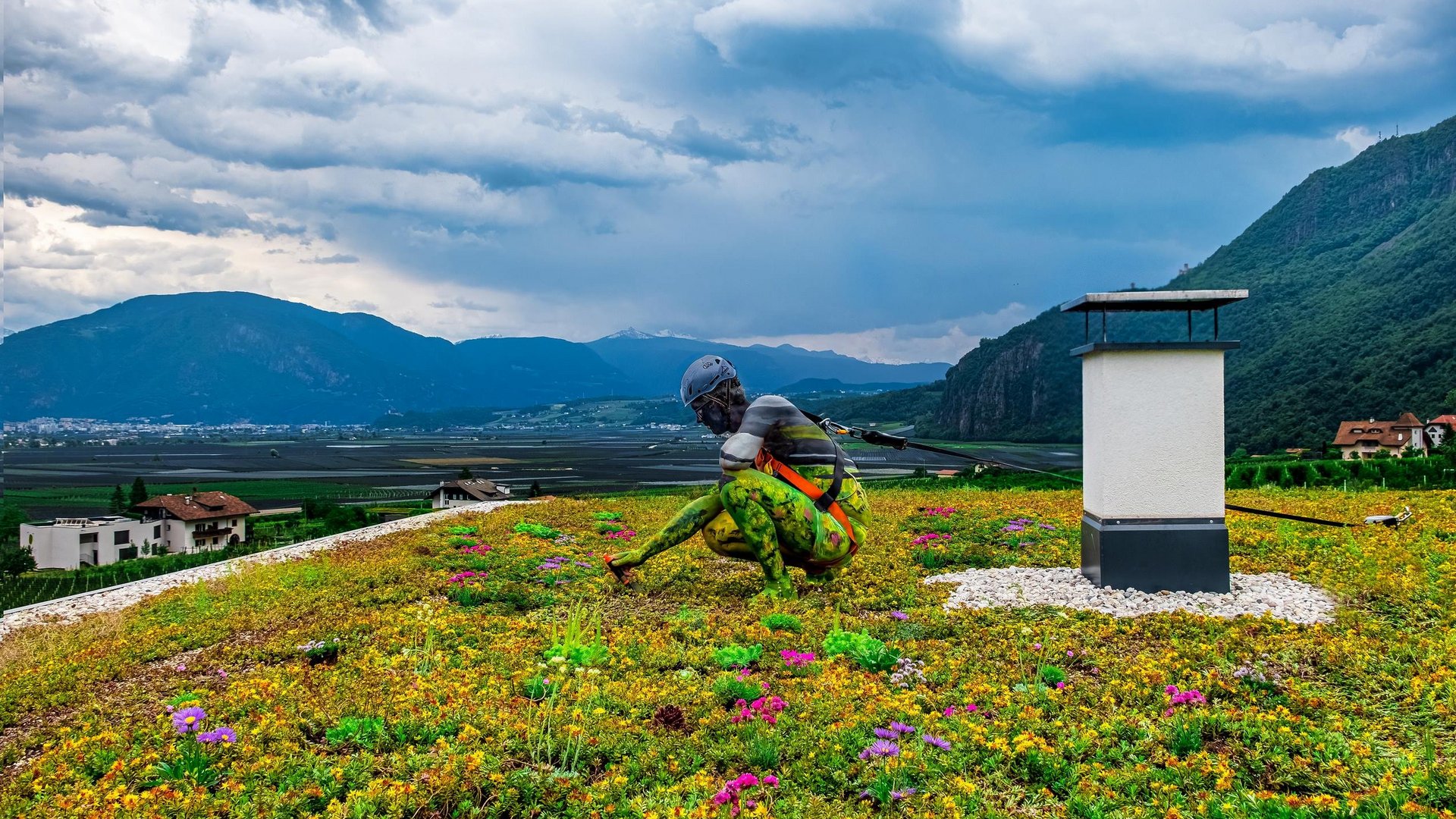 Rasenfix » Tutto per giardino, tetto e prato