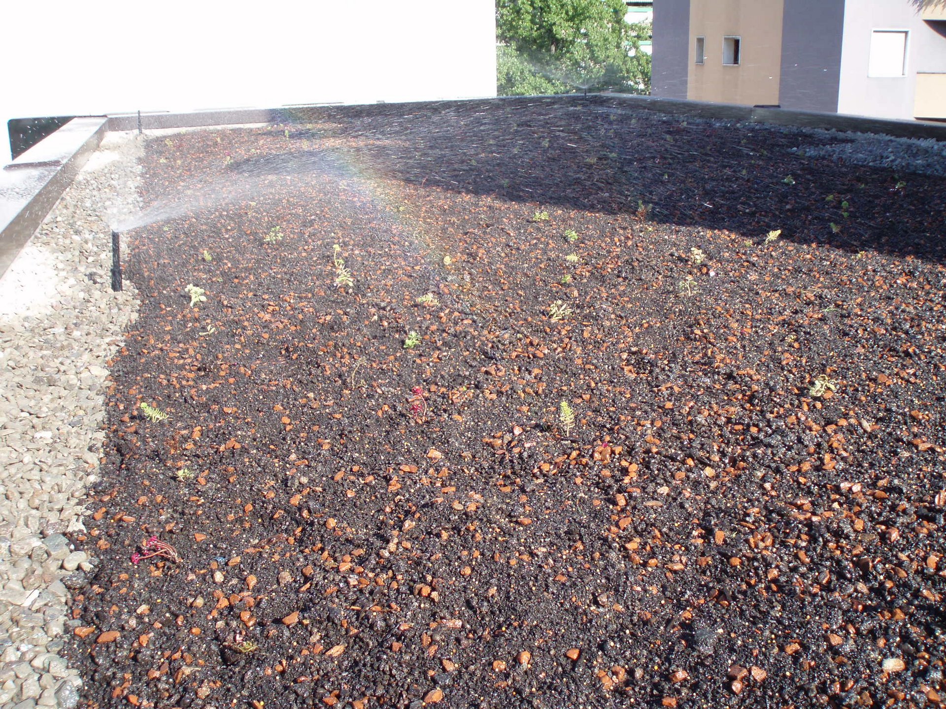 Impianti di irrigazione - trova il top da noi Impianti di irrigazione - trova il top da noi