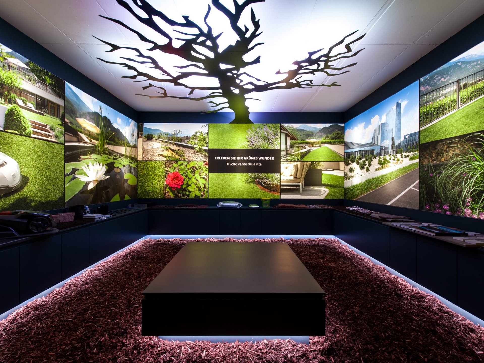 Vieni a vedere il nostro showroom. Vieni a vedere il nostro showroom.