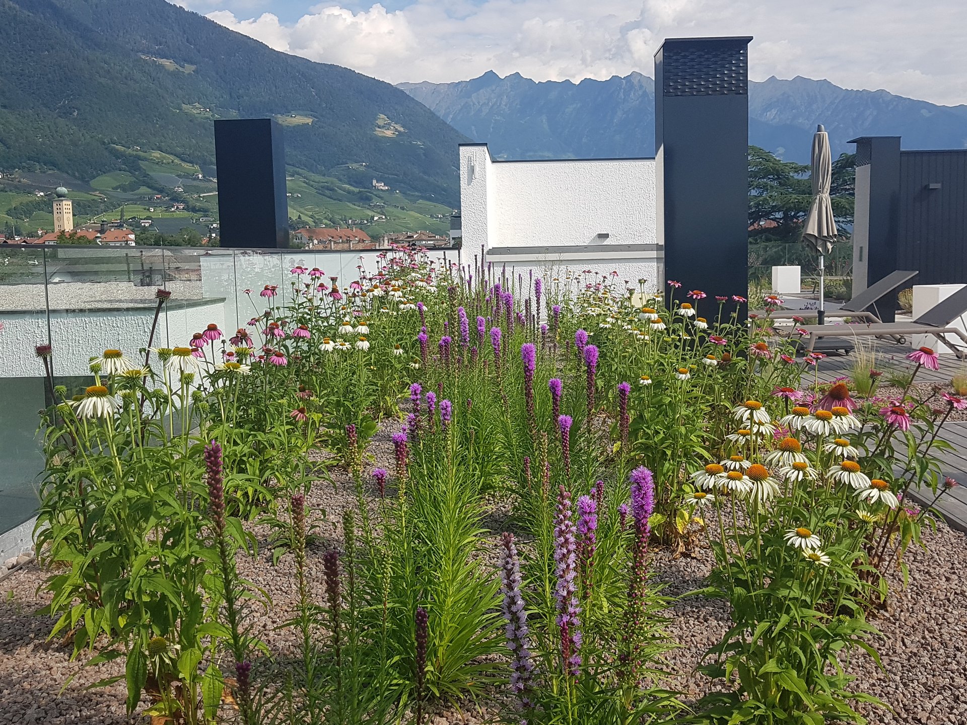 Tetto verde - progettazione e servizio a 360° Tetto verde - progettazione e servizio a 360°