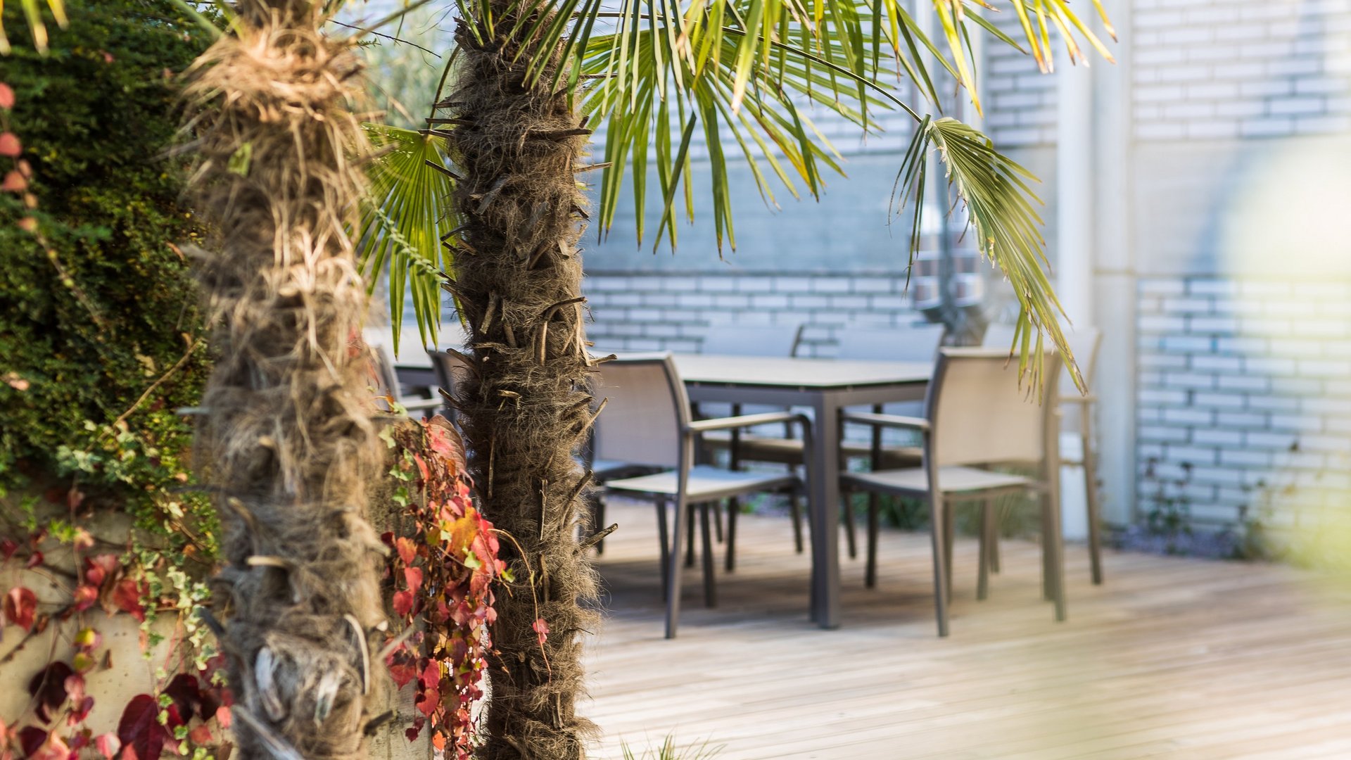 Private Gardening: der Privatgarten von Rasenfix Private Gardening: der Privatgarten von Rasenfix