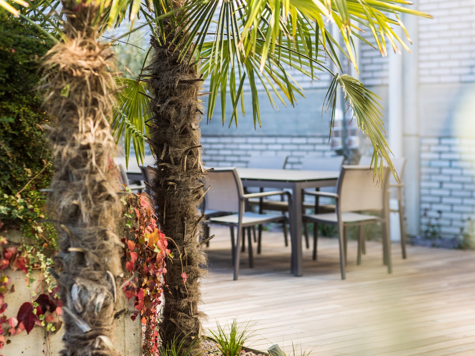 Gartenprodukte, Top-Service und vieles mehr Gartenprodukte, Top-Service und vieles mehr