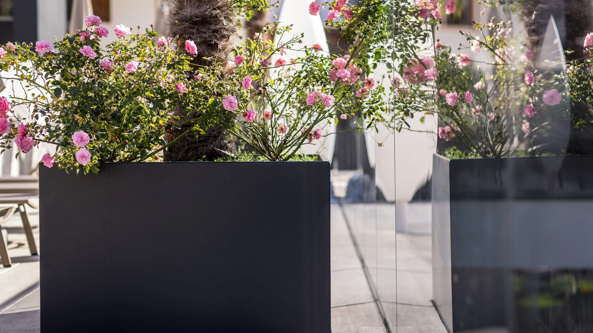 Separatori da giardino, ma anche fioriere, vasi Separatori da giardino, ma anche fioriere, vasi