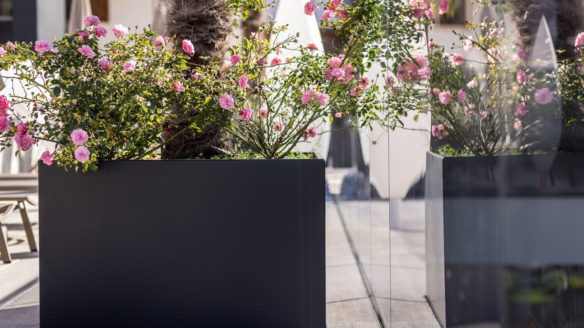 Separatori da giardino, ma anche fioriere, vasi Separatori da giardino, ma anche fioriere, vasi