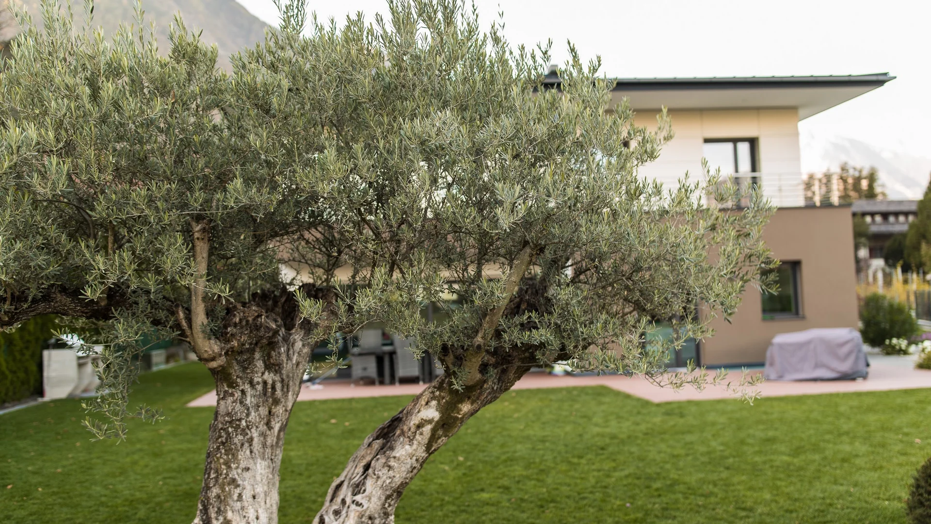 Gartengestaltung Südtirol - Profi in deiner Nähe Gartengestaltung Südtirol - Profi in deiner Nähe