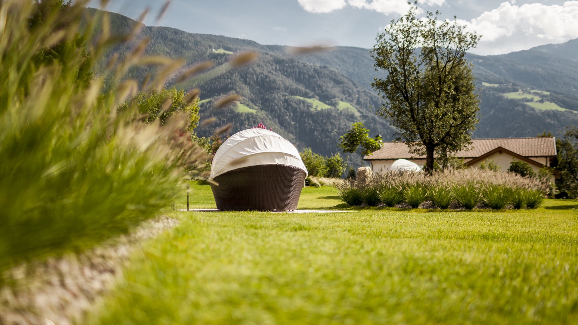 Separatori da giardino, ma anche fioriere, vasi Separatori da giardino, ma anche fioriere, vasi
